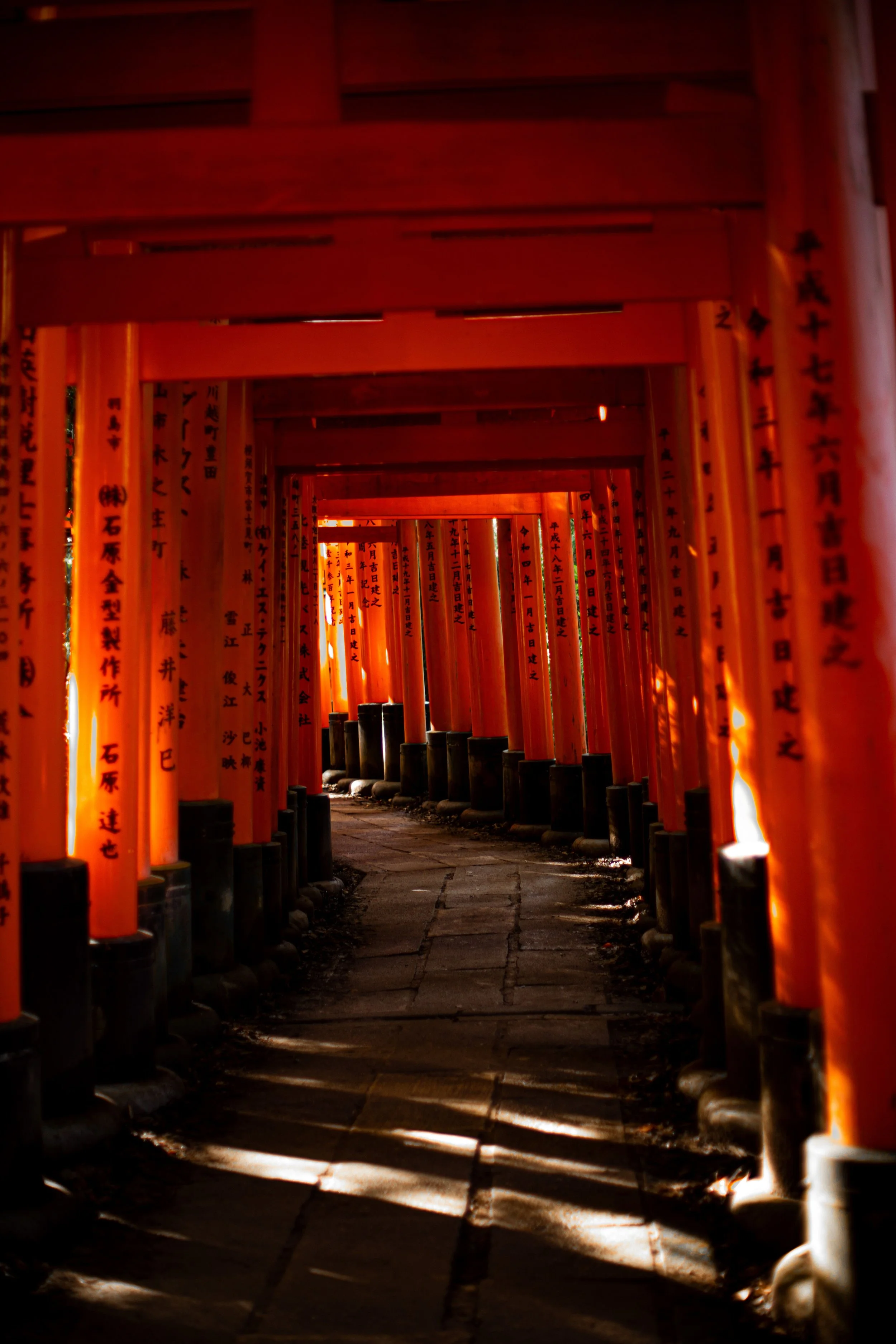 A pathway through a series of red torii gates with Japanese inscriptions, creating a tunnel-like effect with sunlight casting shadows on the ground.