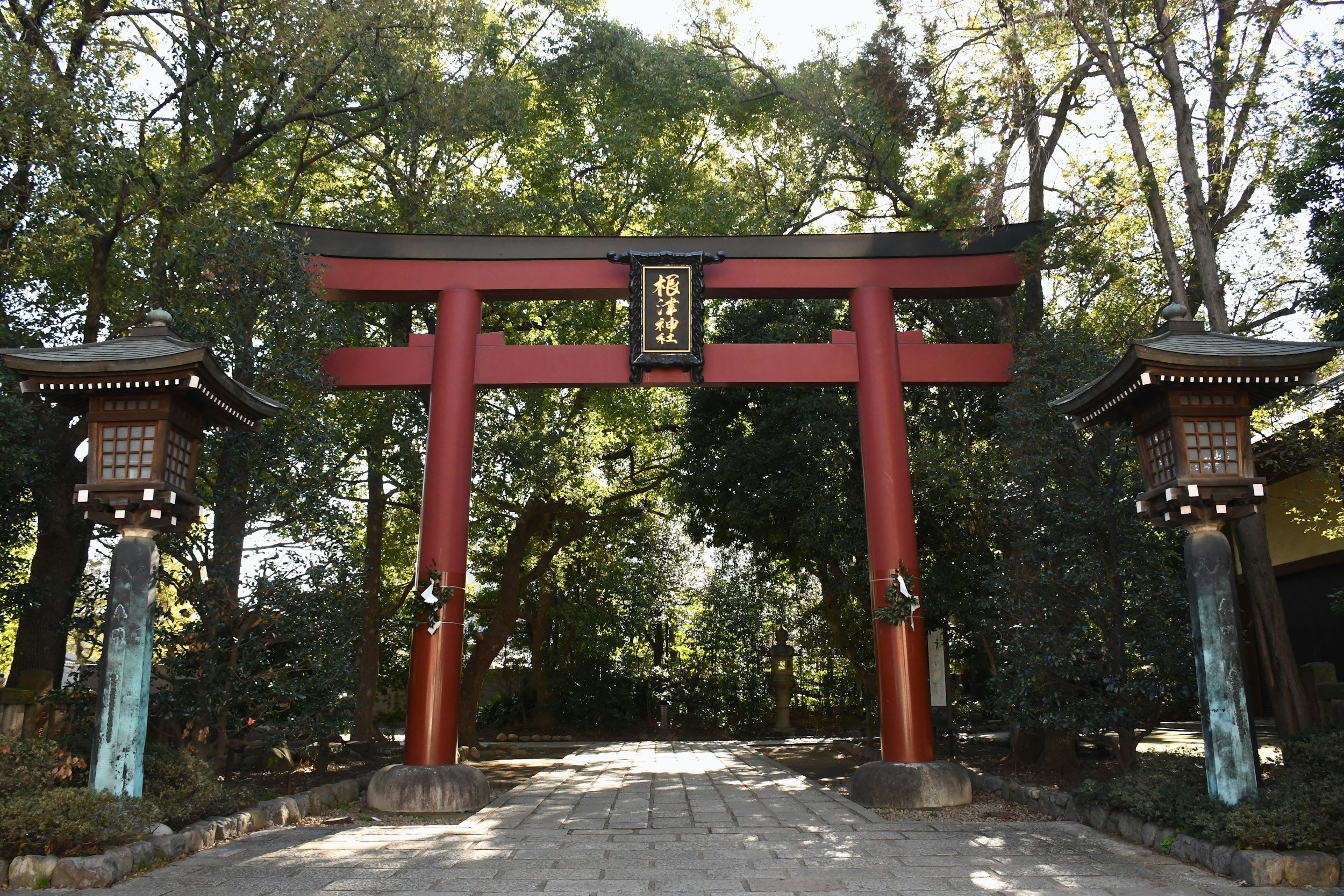 Traditional Japanese torii gate with a black plaque with gold Japanese characters, surrounded by trees and stone lanterns at a shrine entrance.