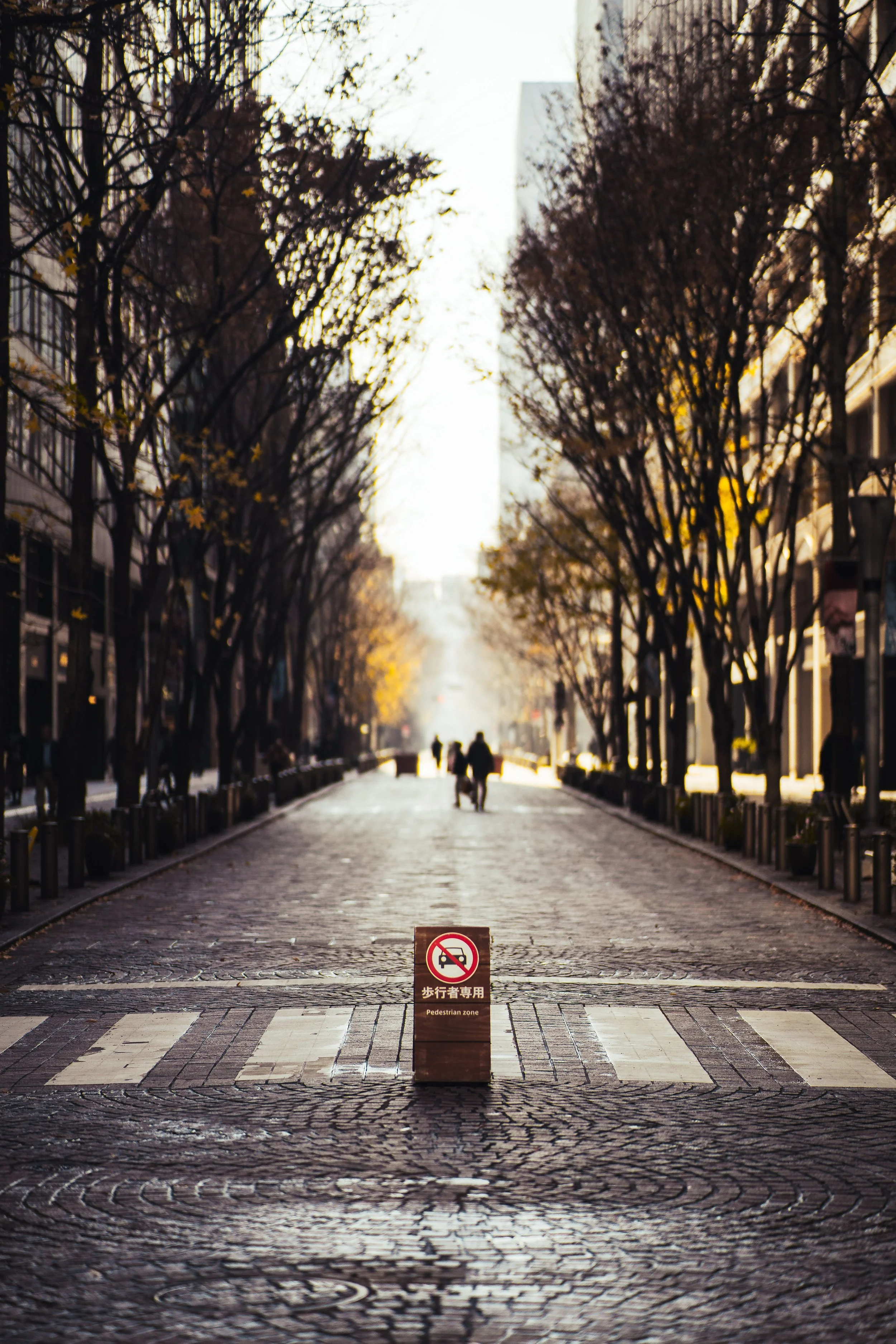 Empty city street with trees on each side, a pedestrian zone sign in the foreground, and a few people walking in the distance at sunset.