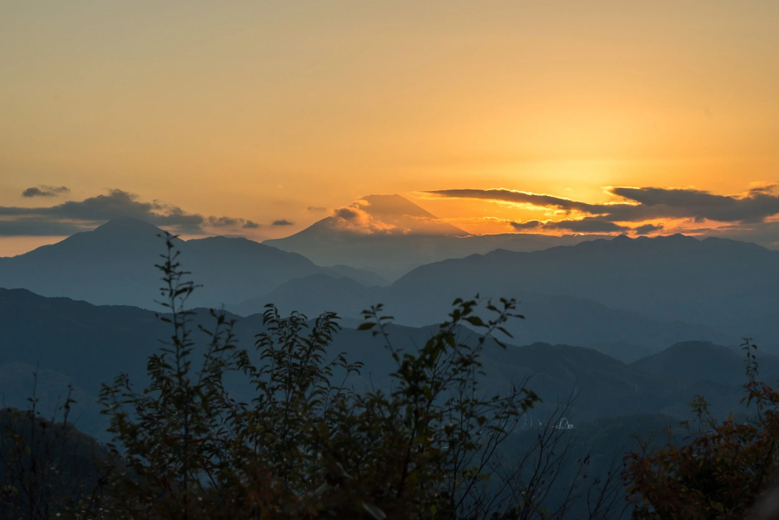 Sunset over mountain range with silhouettes of trees in the foreground.