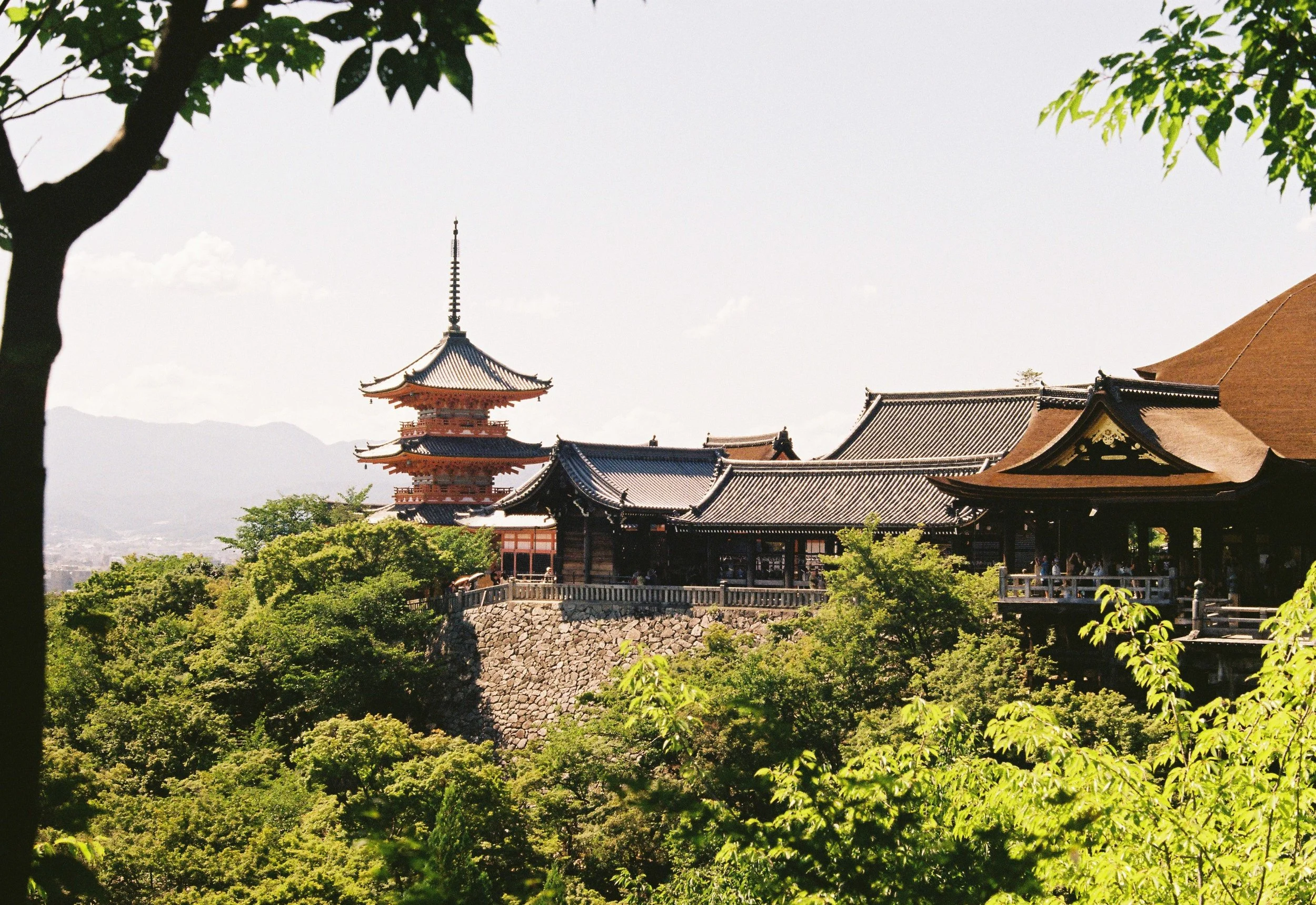 Traditional Japanese temple buildings with curved tiled roofs, surrounded by lush green trees and overlooking a stone wall and distant mountains.