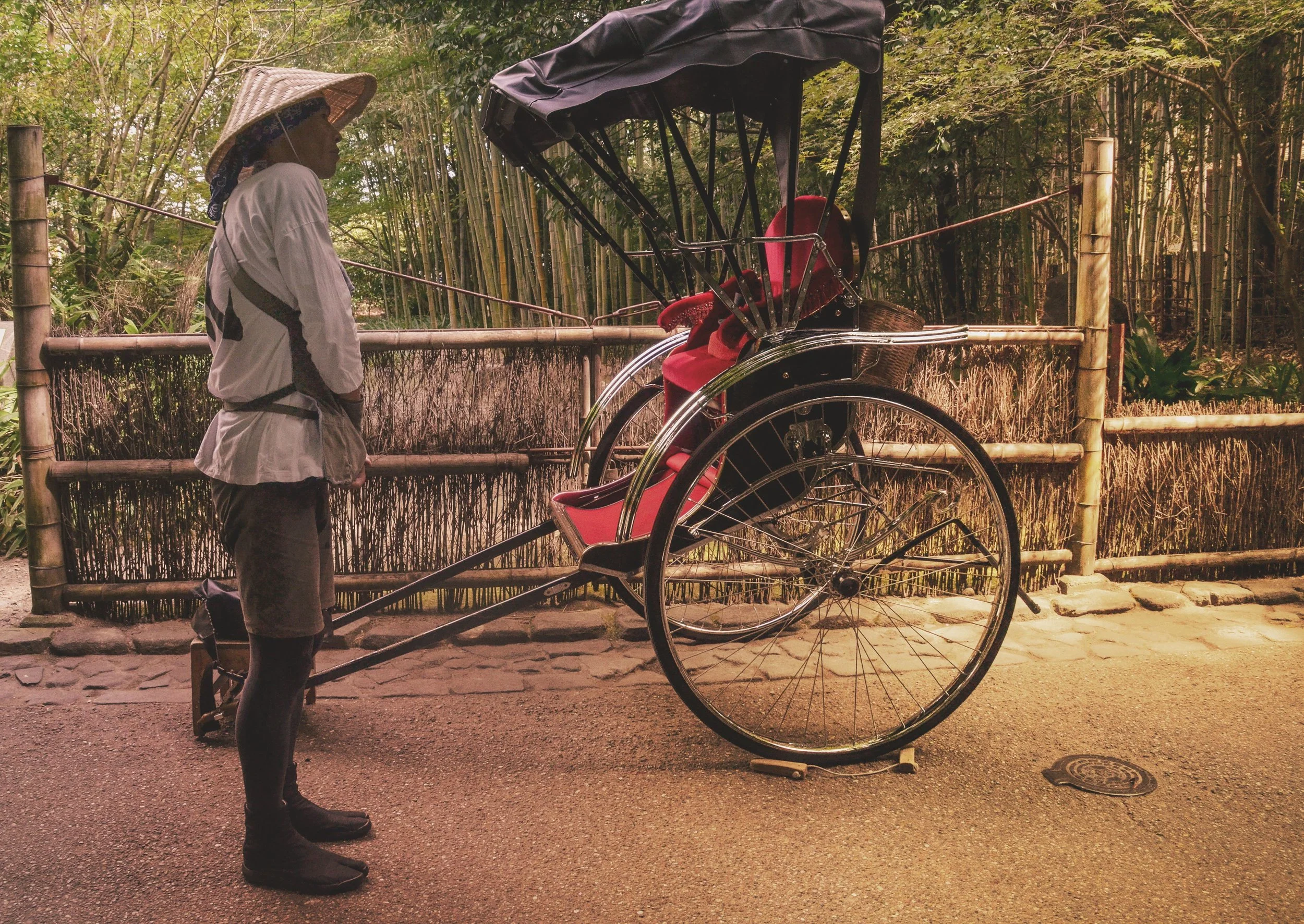 A person standing outdoors next to a rickshaw, wearing a traditional Asian conical hat and a white jacket, with lush greenery in the background.