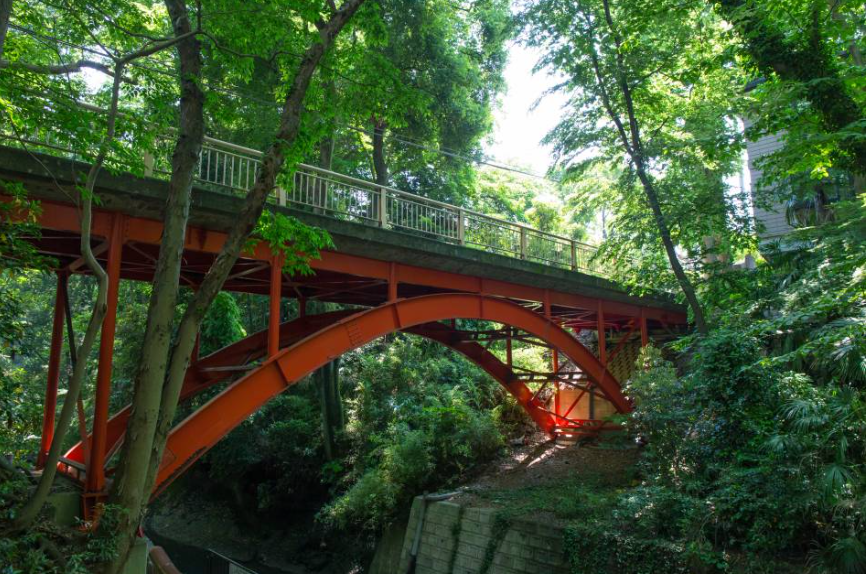A red arched pedestrian bridge surrounded by green trees and foliage in a park or forest.