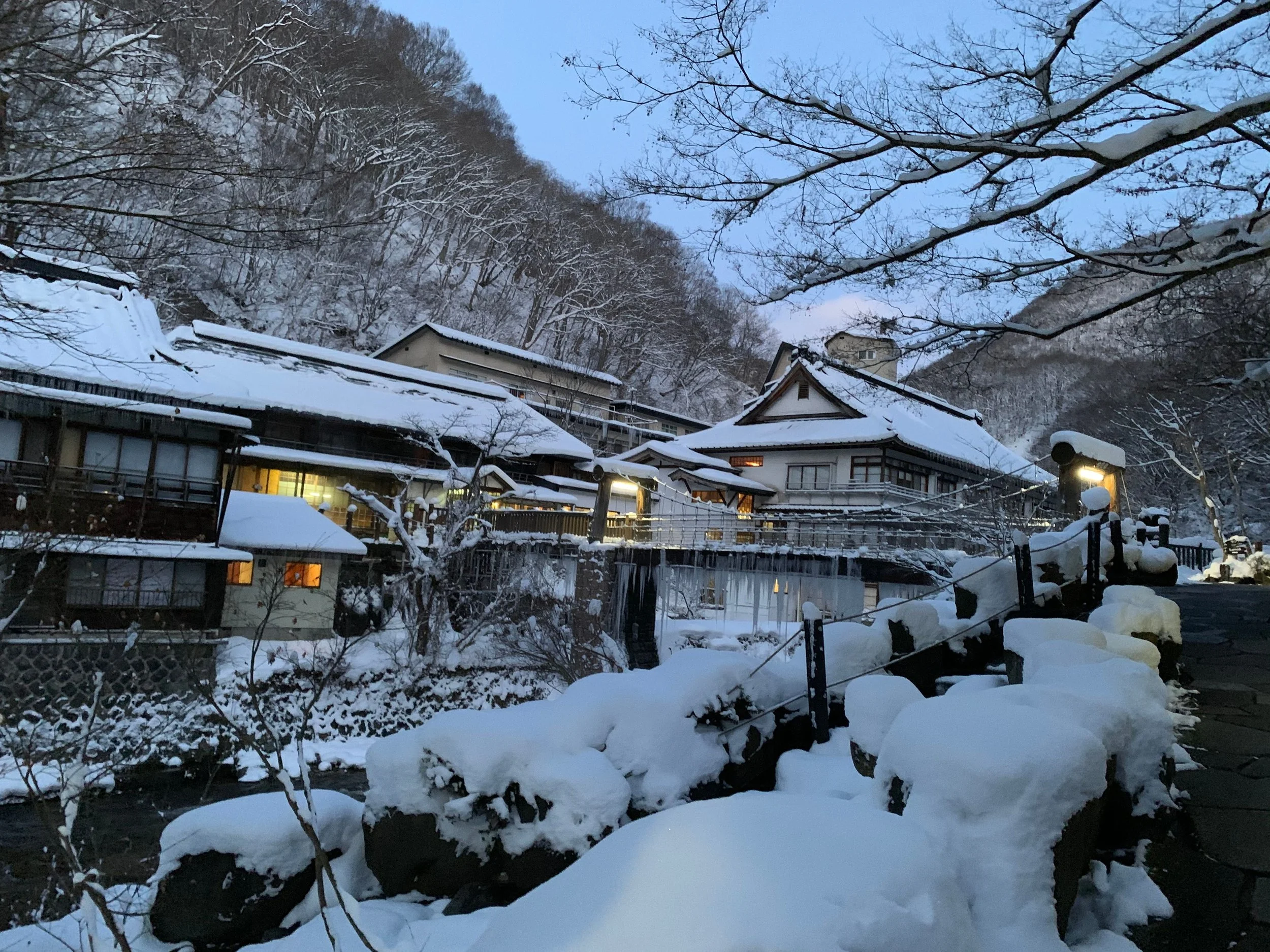 Snow-covered rooftops and trees in a mountainside village during twilight.