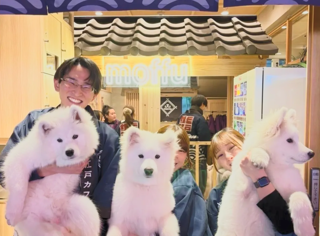Two young women and a young man are holding three white fluffy dogs, likely Samoyeds, in a cozy indoor setting with wooden decor. The background features a neon sign, a vending machine, and other people. The group is smiling and posing for the photo.