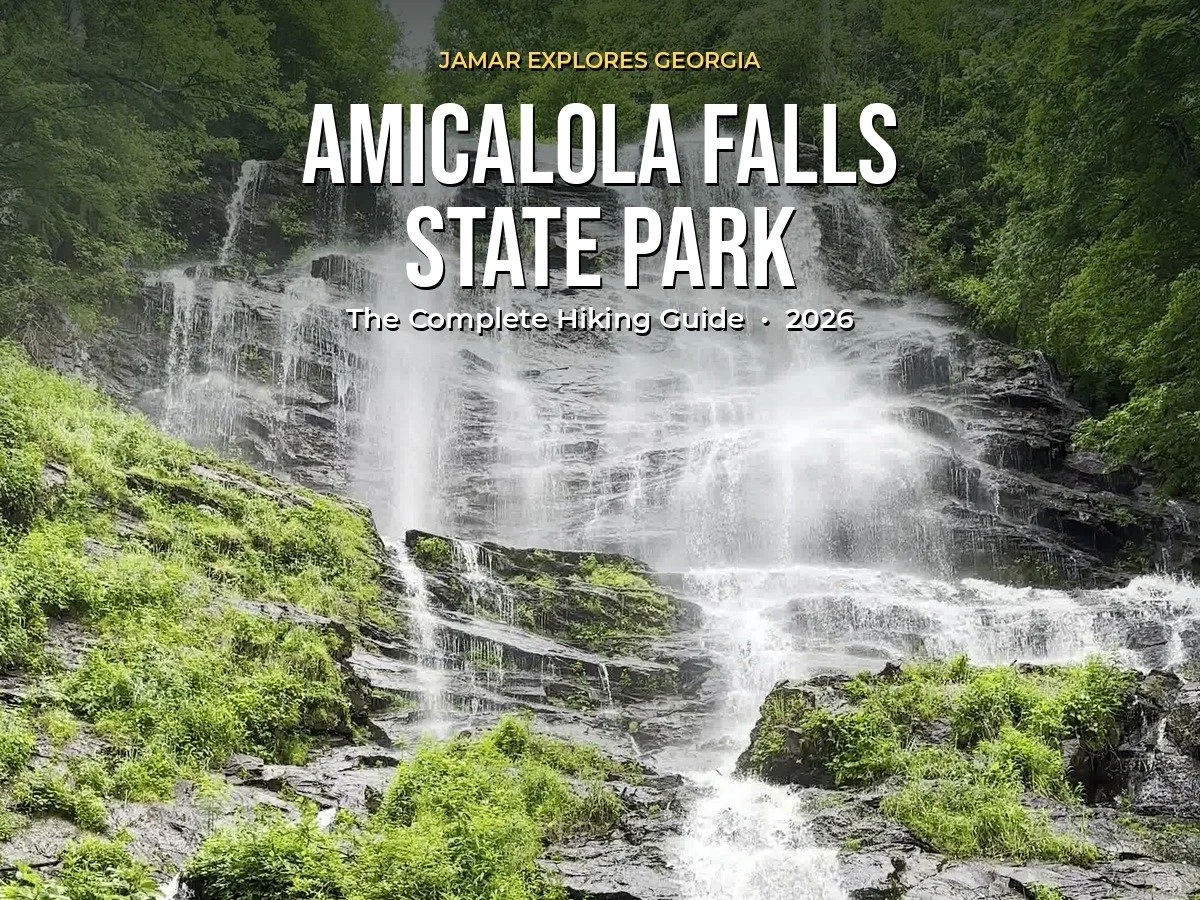 Amicalola Falls Hike: A Georgia Local's Guide