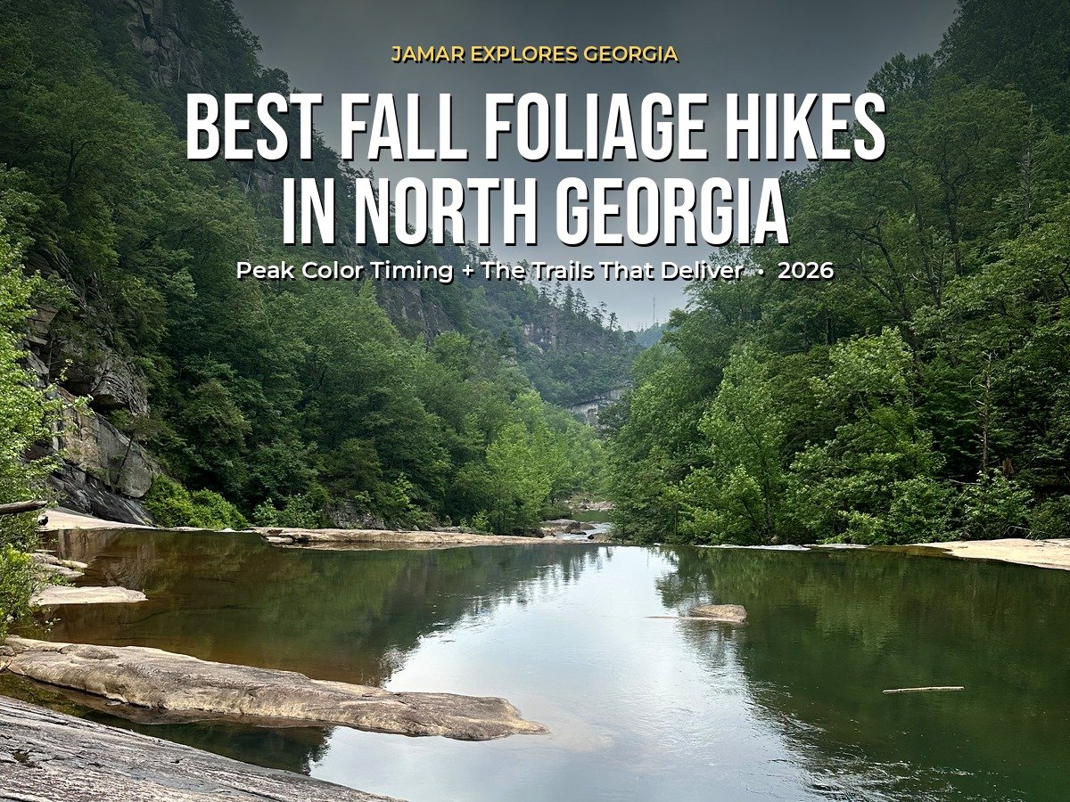 Best Fall Foliage Hikes in North Georgia (2026 Guide)