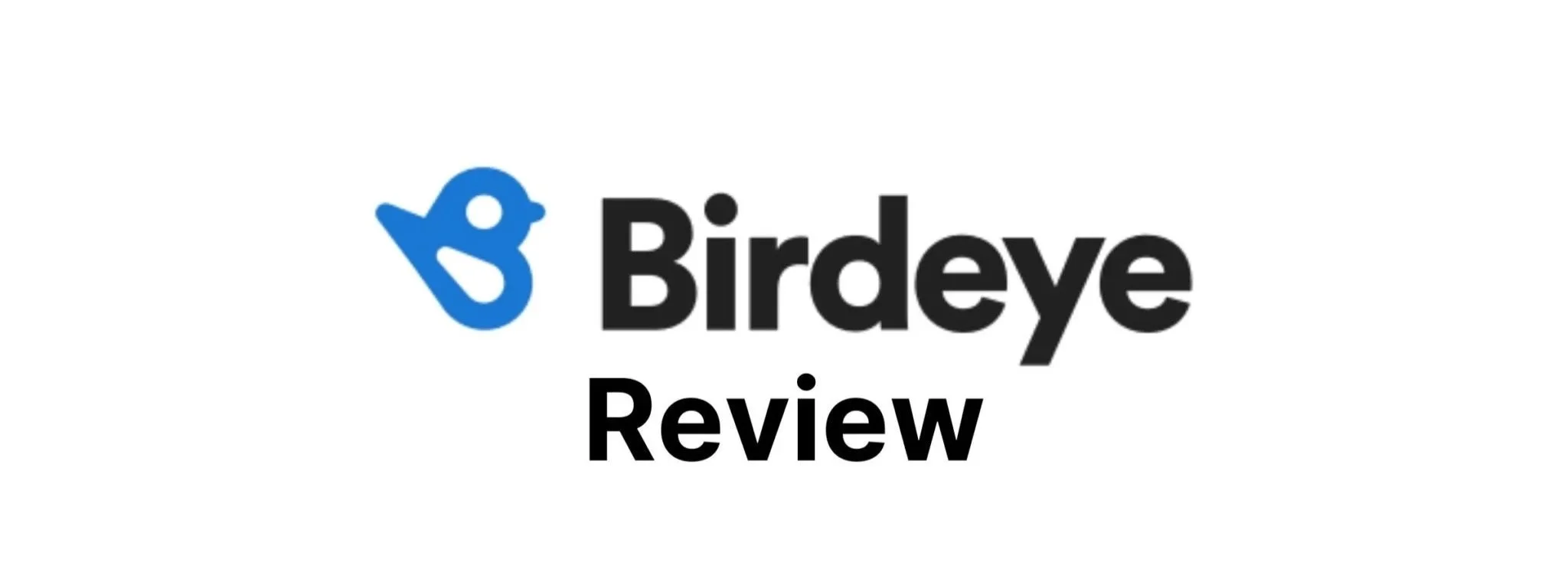 Birdeye logo with stylized blue bird icon and the words 'Birdeye Review' in black text for best chiropractor near me
