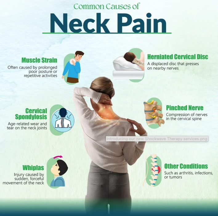 An infographic titled "Common Causes of Neck Pain" illustrating six causes: muscle strain, herniated cervical disc, cervical spondylosis, pinched nerve, whiplash, and other conditions such as arthritis, infections, or tumors. Each cause is depicted with an icon and brief description.