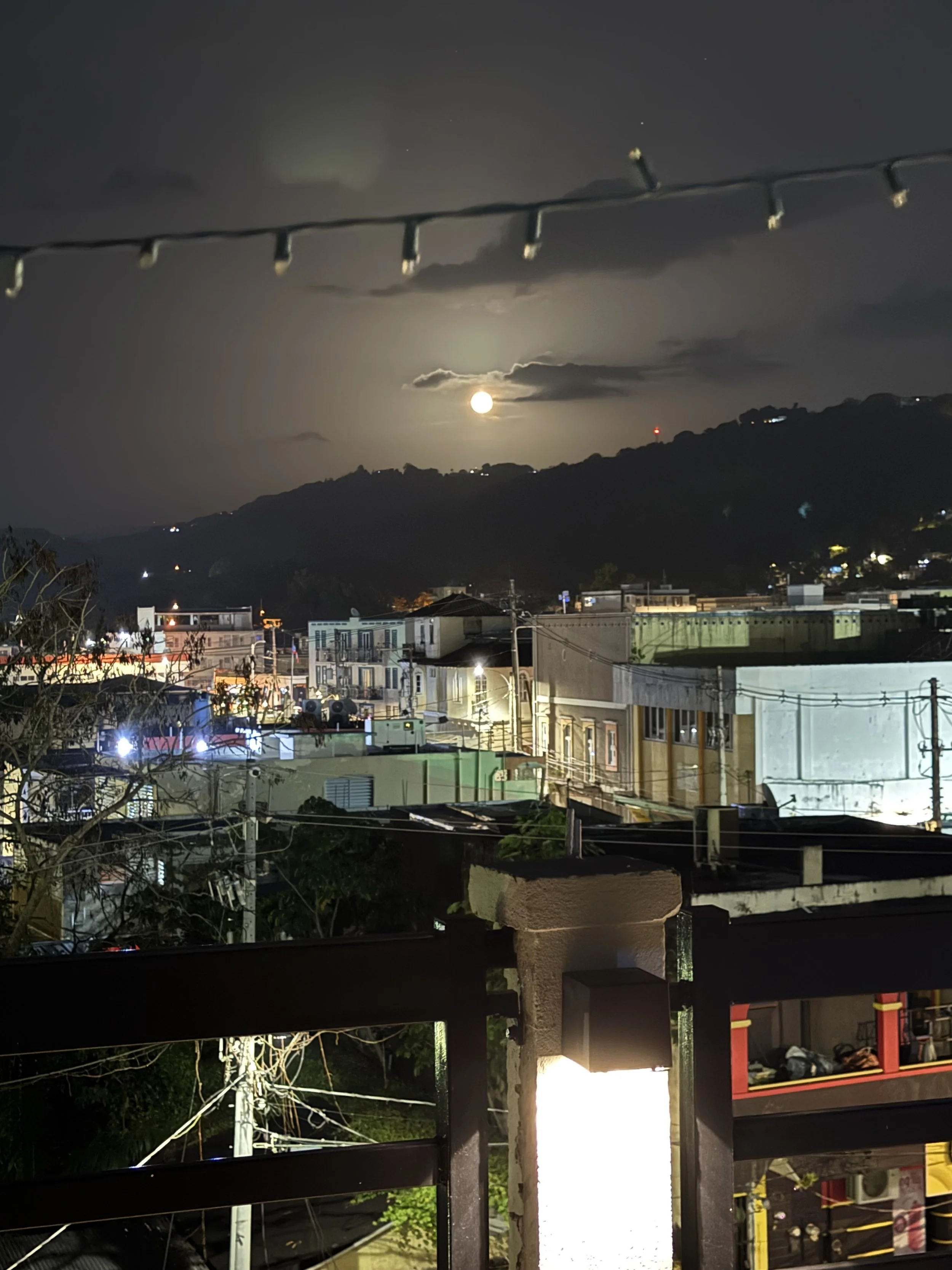 Mayaguez City View