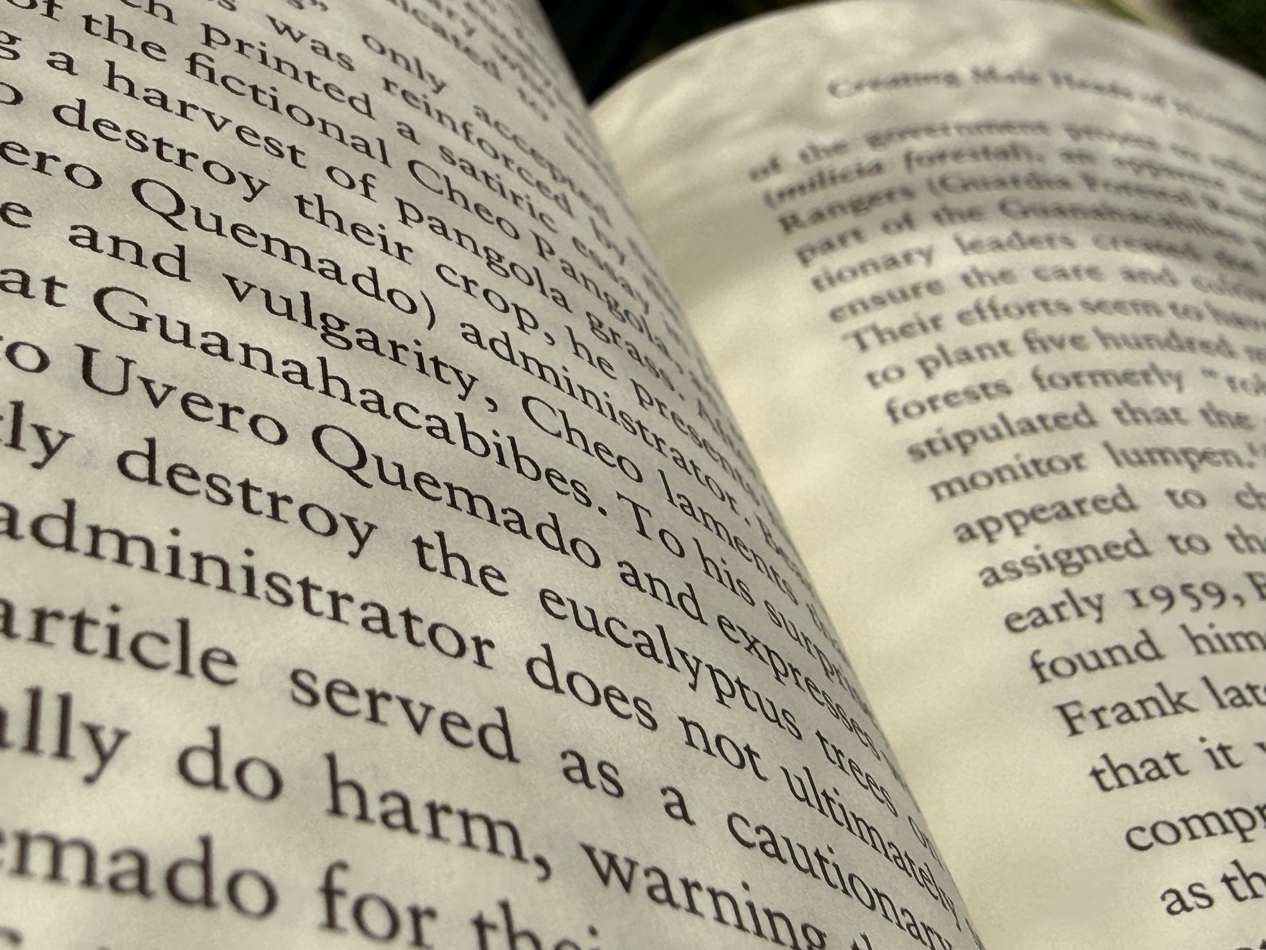 Close-up of an open book with printed text on cream-colored pages, mottled with shadows from the sun