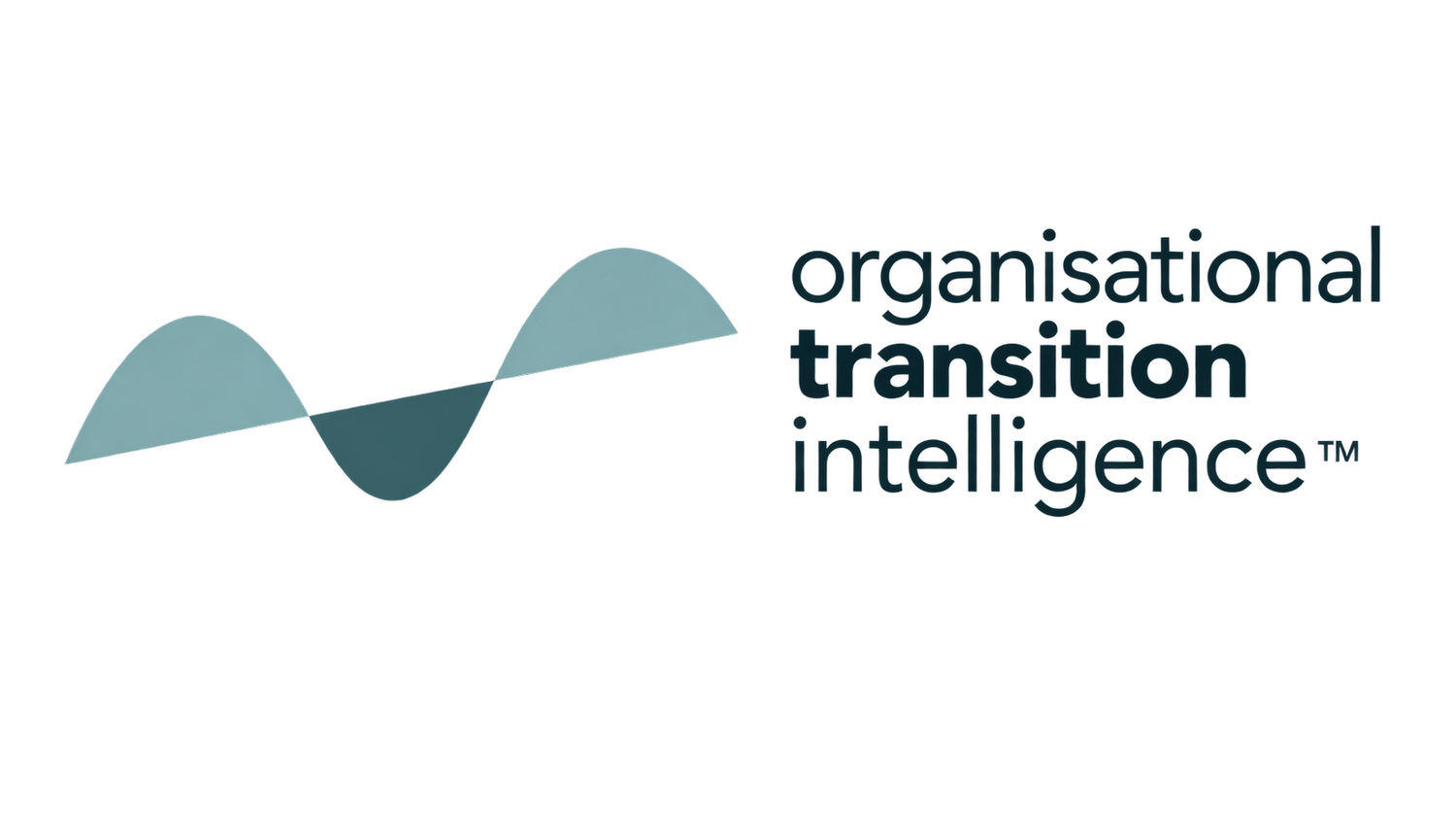 Organisational Transition Intelligence