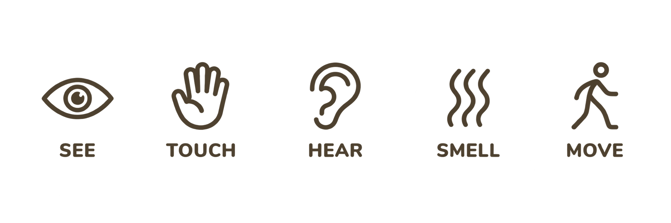 Symbole für die fünf Sinne: Auge für Sehen, Hand für Tasten, Ohr für Hören, Nase für Riechen, laufende Person für Bewegung. Beschriftung in Deutsch und Englisch.