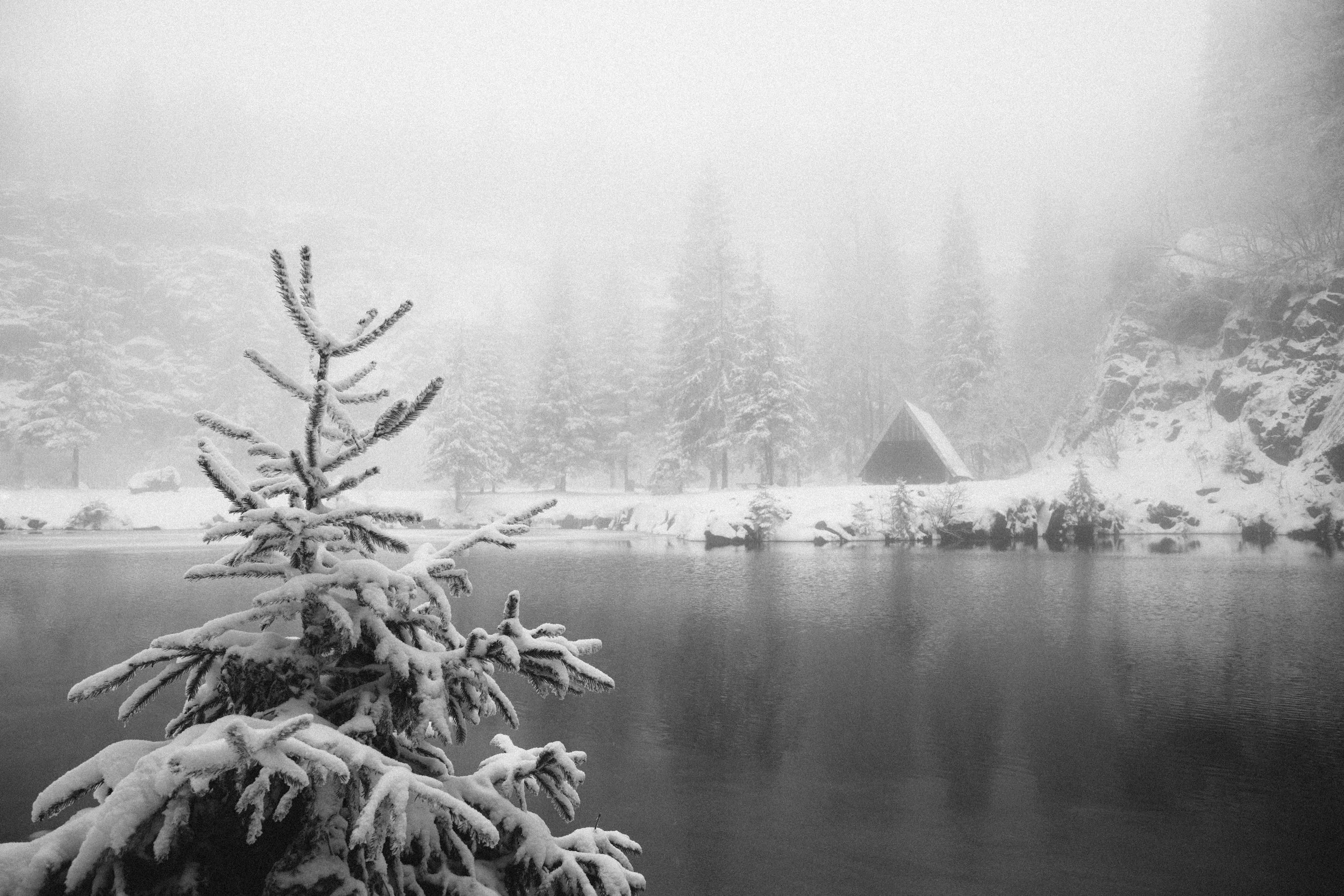 BergseeEbertswieseWinter-1.jpg