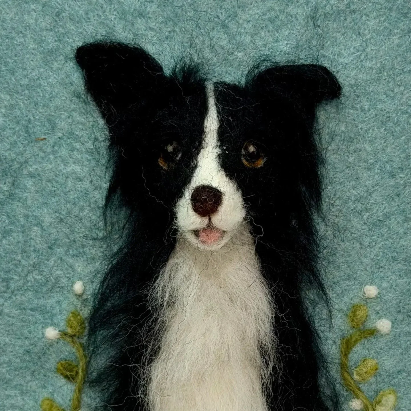collie.jpg