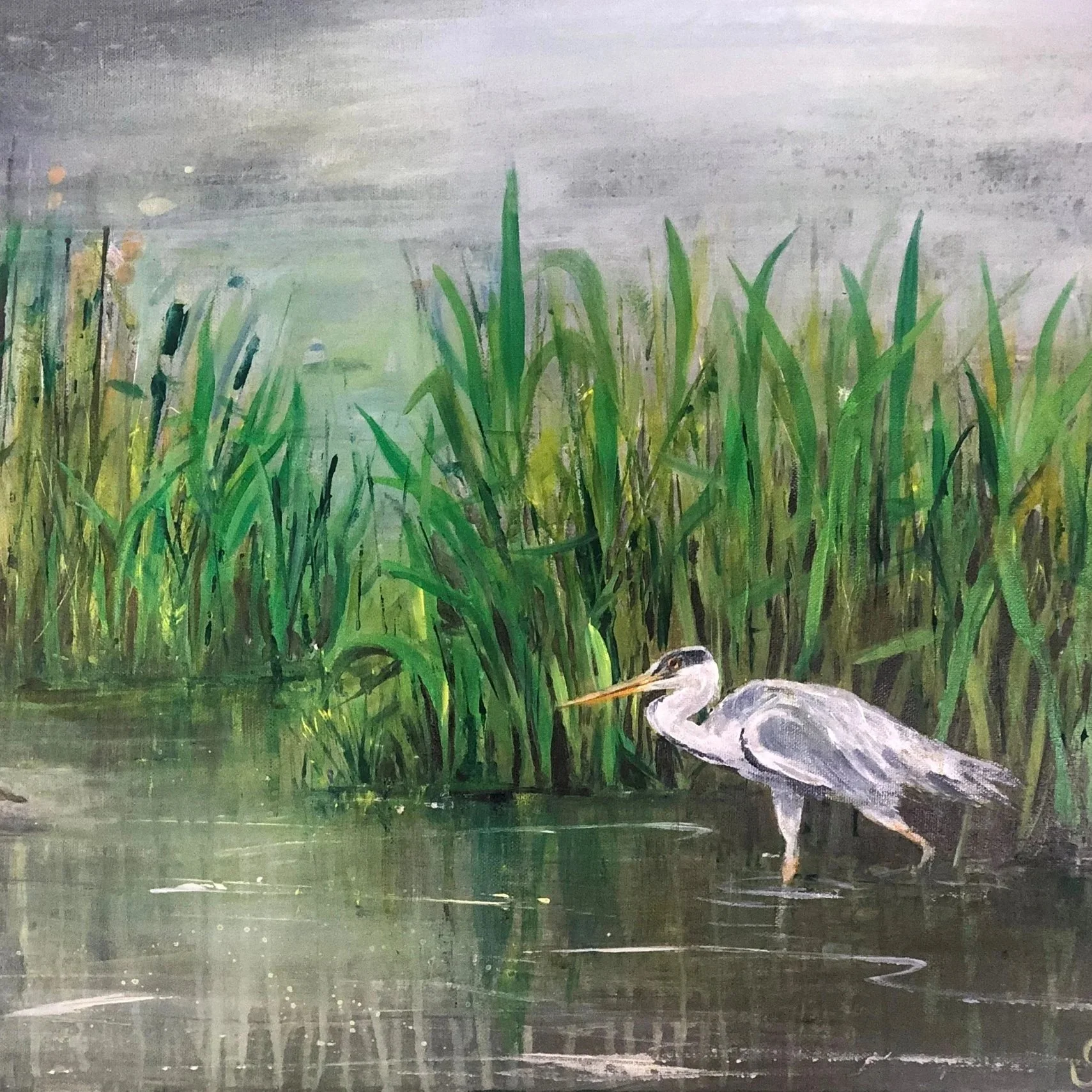 wading+heron.jpg