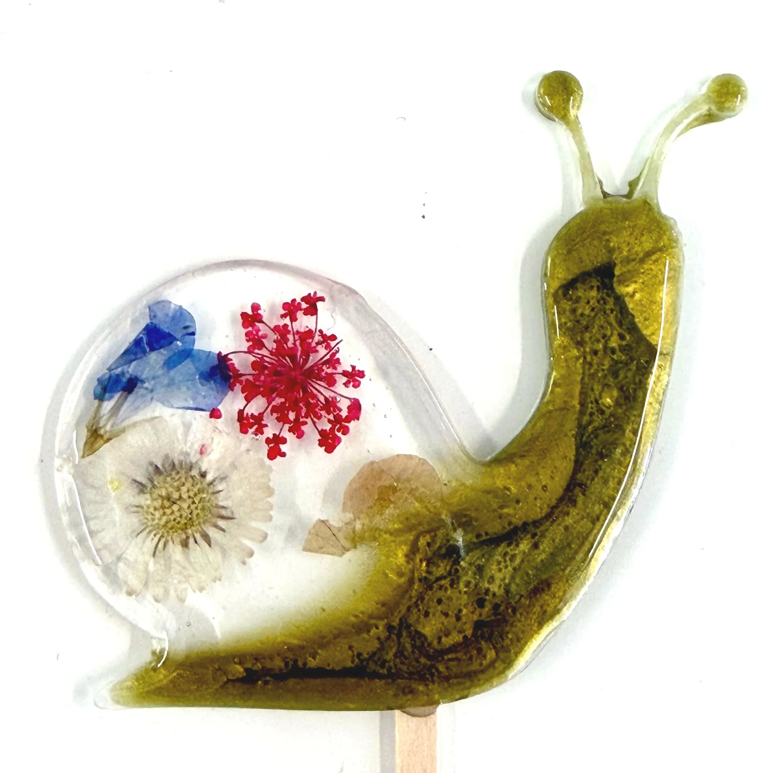 dried+flower+snail.jpg