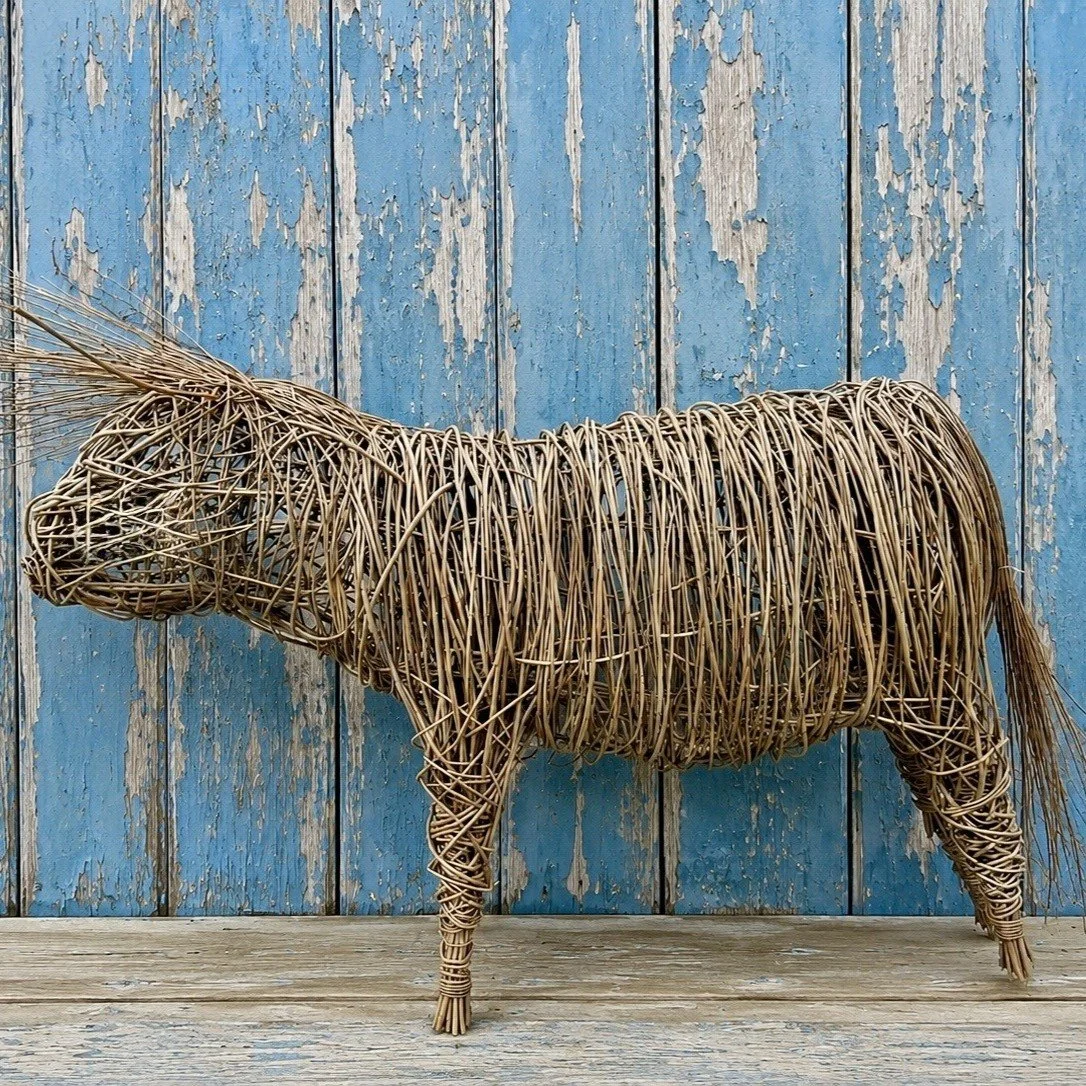 willow highland cow square.jpg