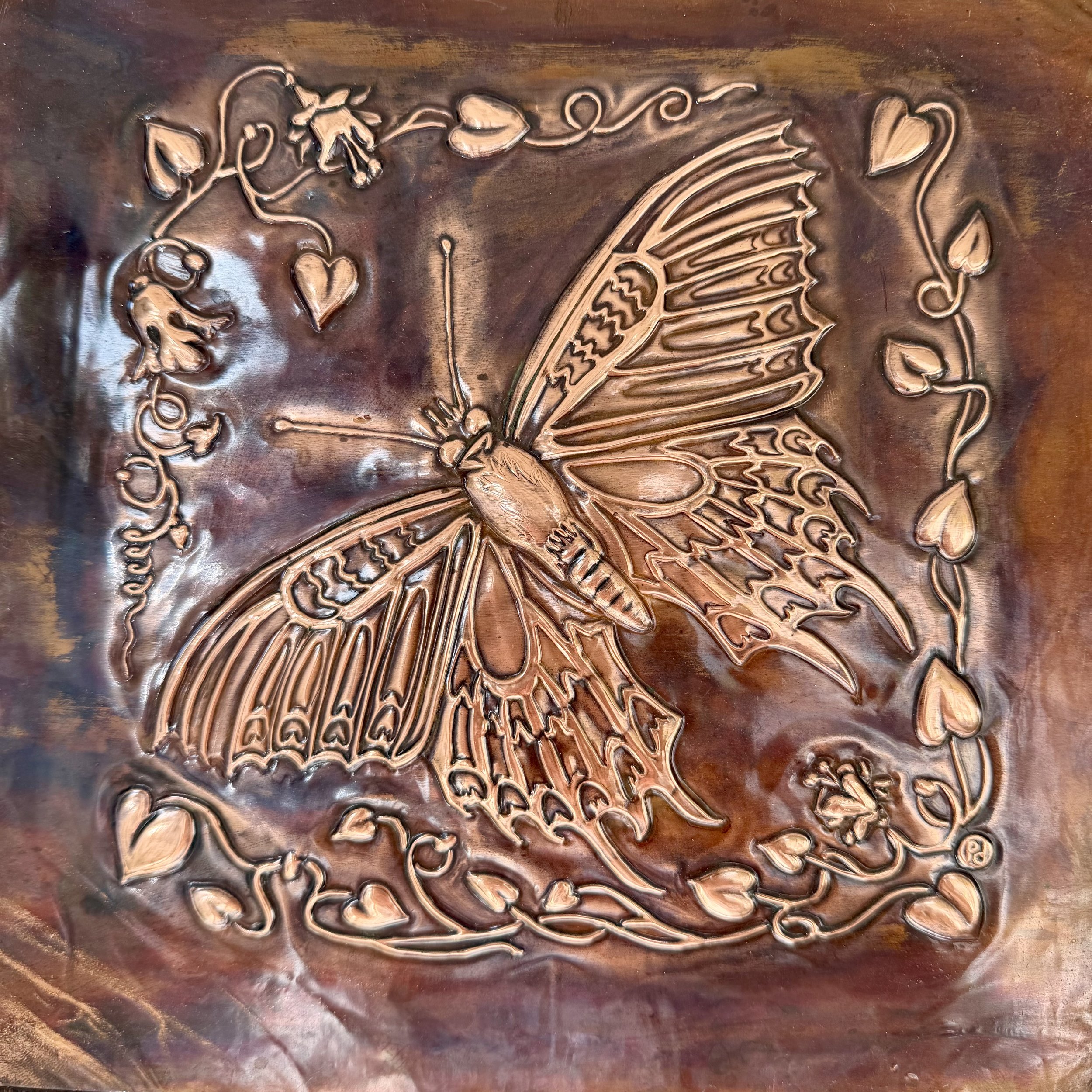 butterfly.jpeg