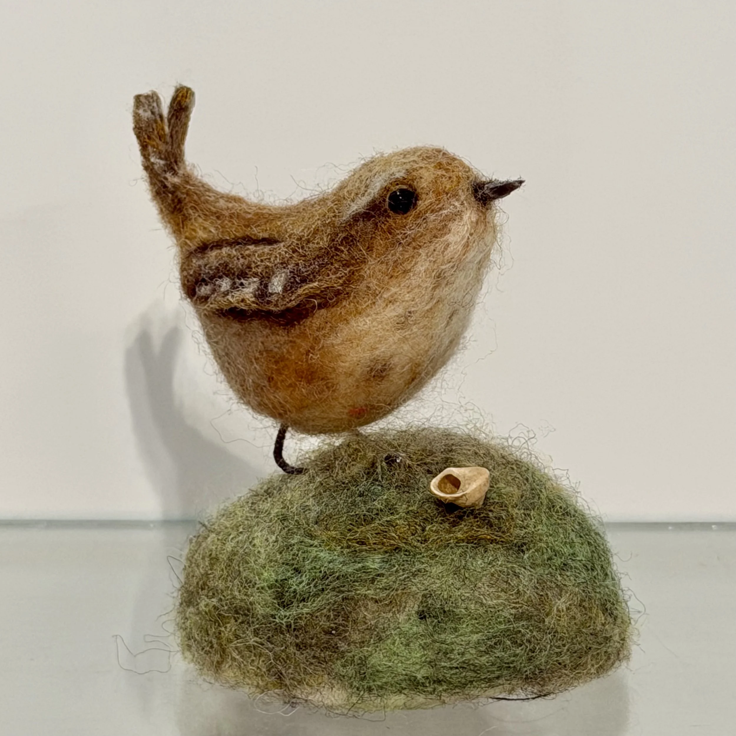 wren 2.jpeg