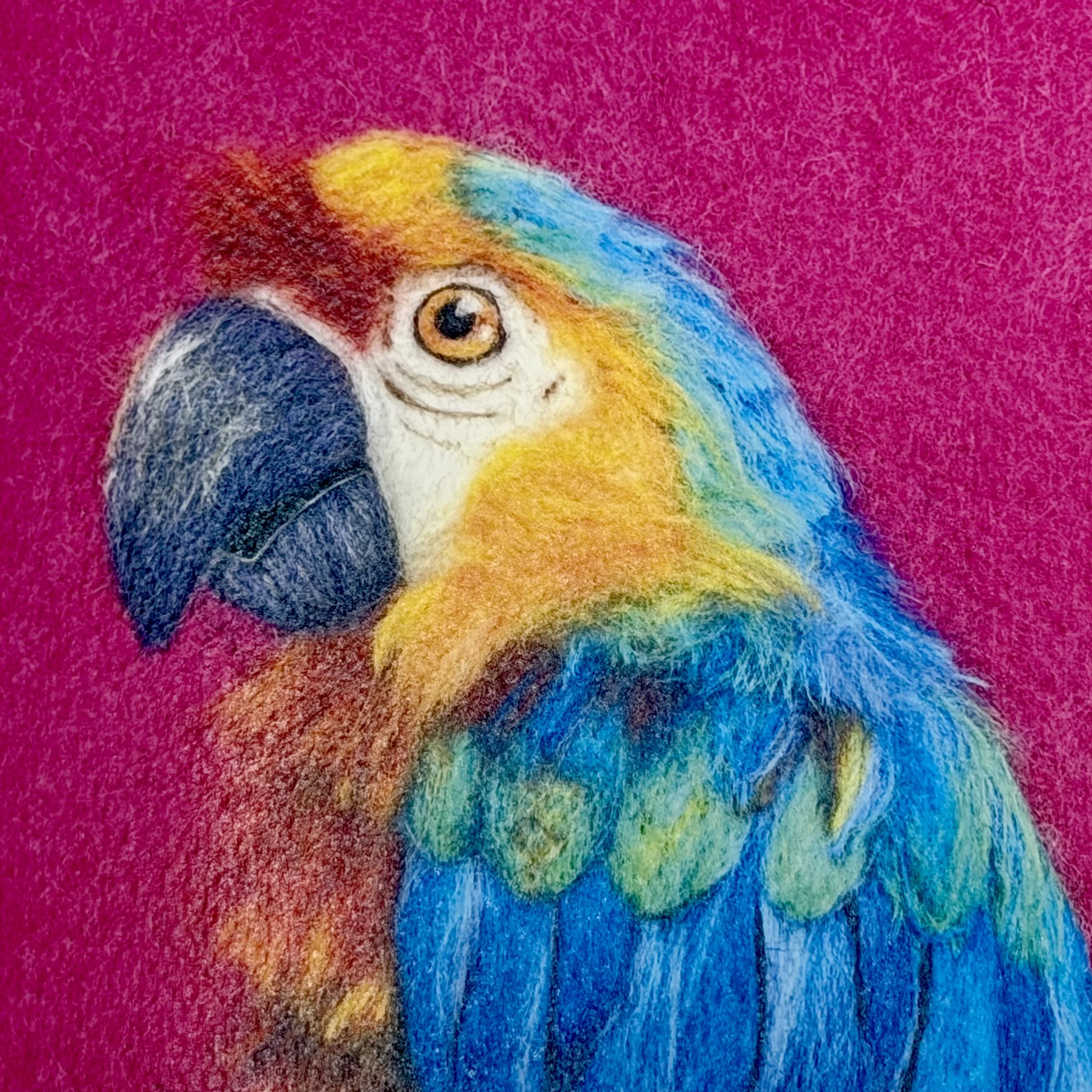 parrot.jpeg