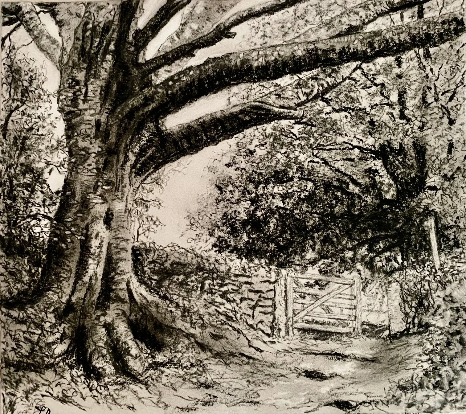 A Walk in the Woods III Charcoal.jpeg