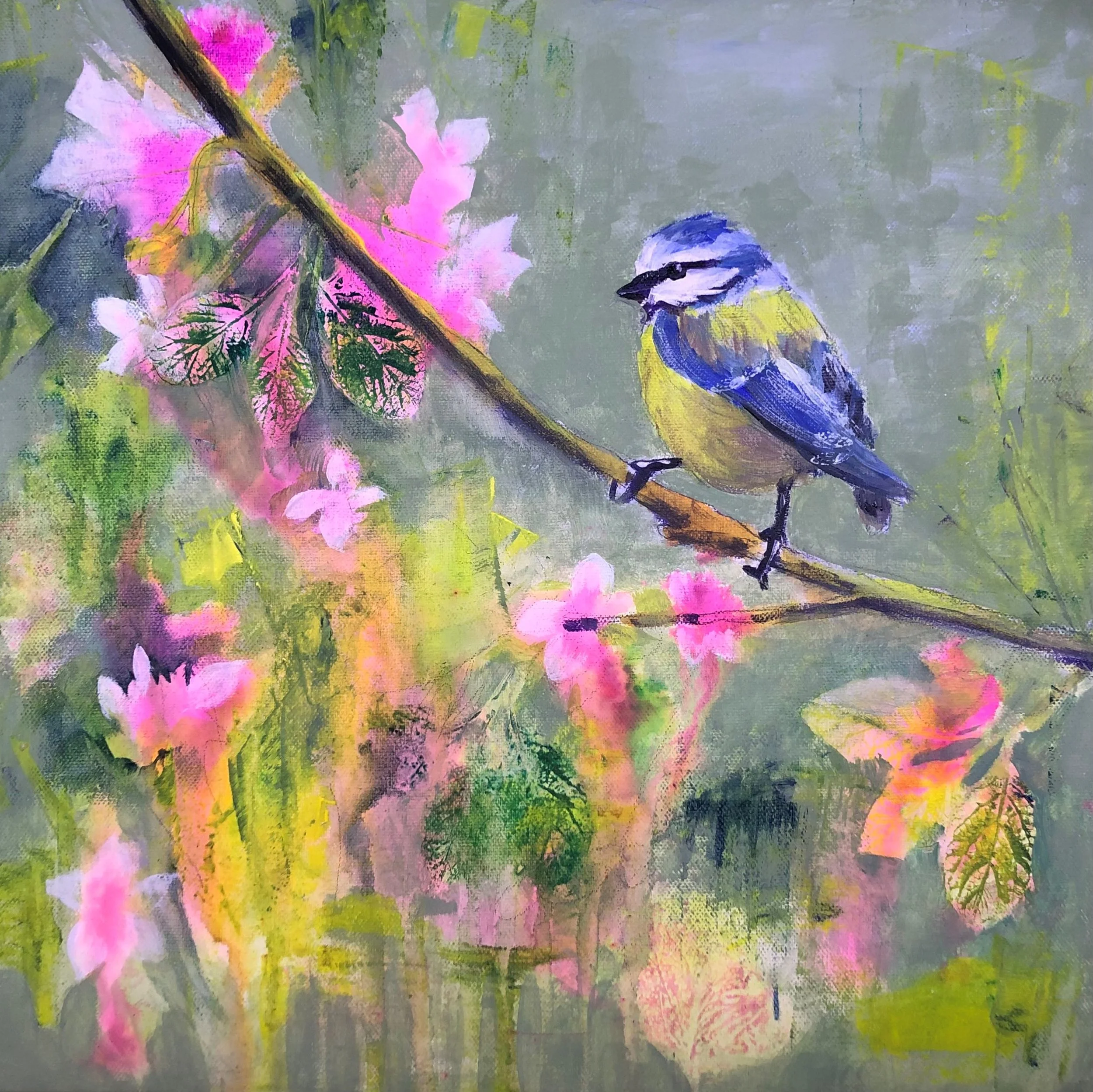 bluetit.jpg