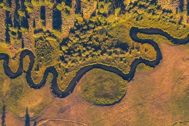 Mitigation 101: Understanding the Basics of Environmental Offsets
