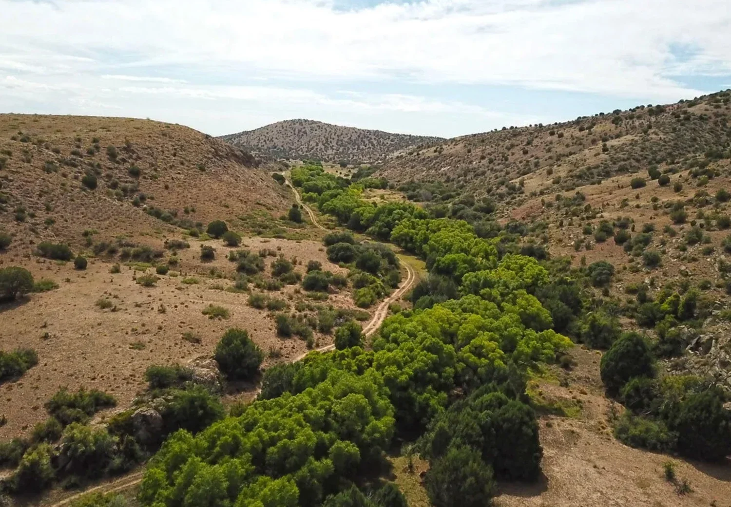 Prevost Ranch: A Case Study in Conservation Easement Real Estate