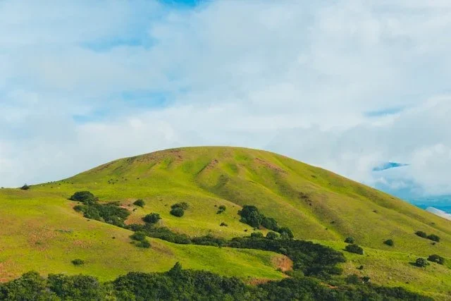 The Case for Hiring a Conservation Advisor When Preserving Your Land