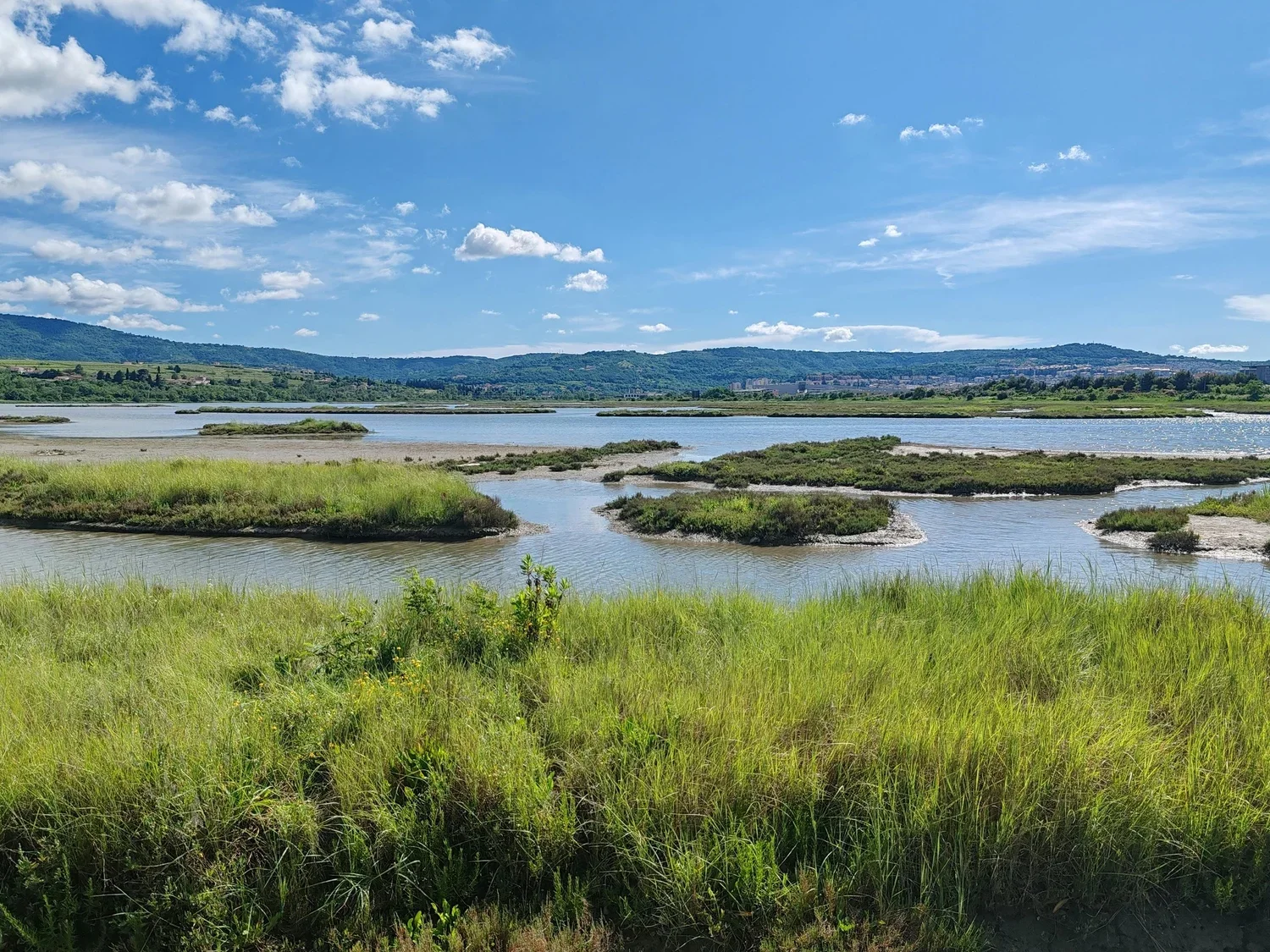 Mitigation as a Market for Environmental Services