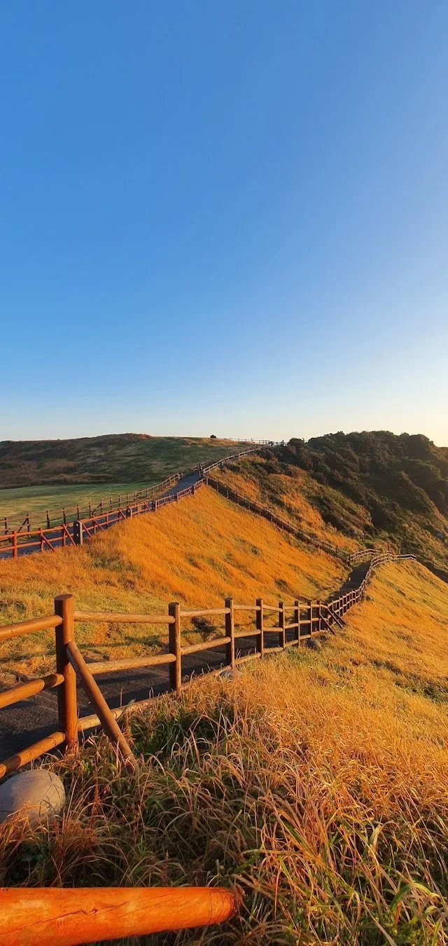 Your Land, Your Legacy: Flexible Conservation Easements for the Real-World