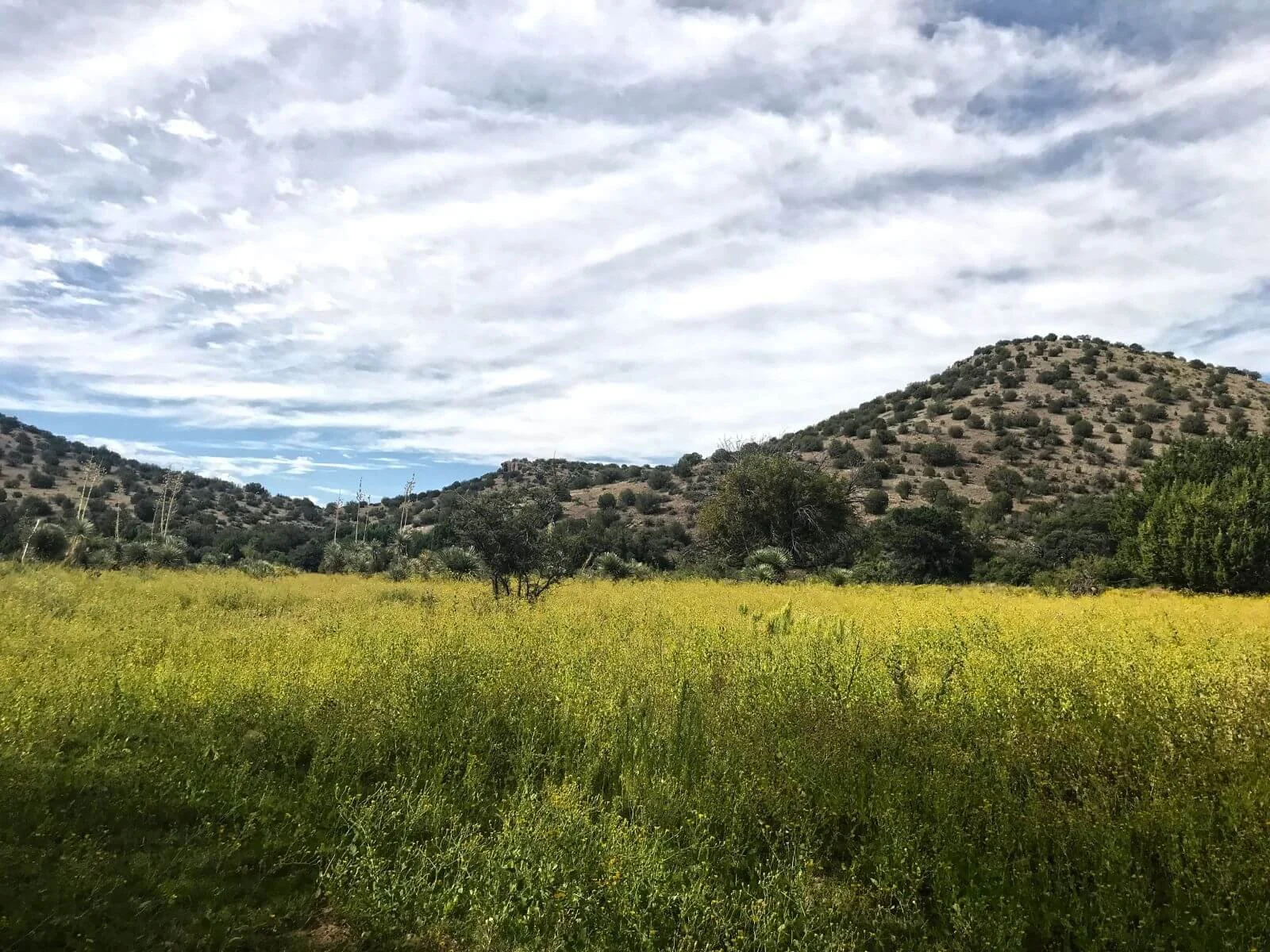 photo of mountains and plains at prevost conservation ranch nm
