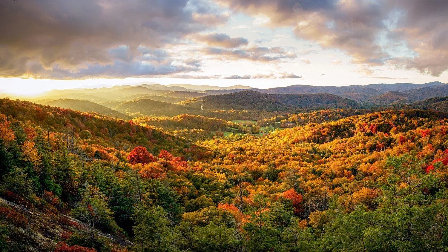 landscape conservation real estate