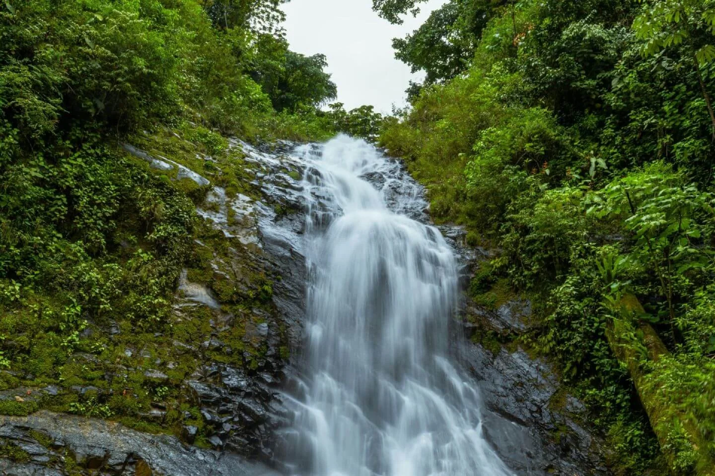 photo of waterfall in appalachian conservation forest