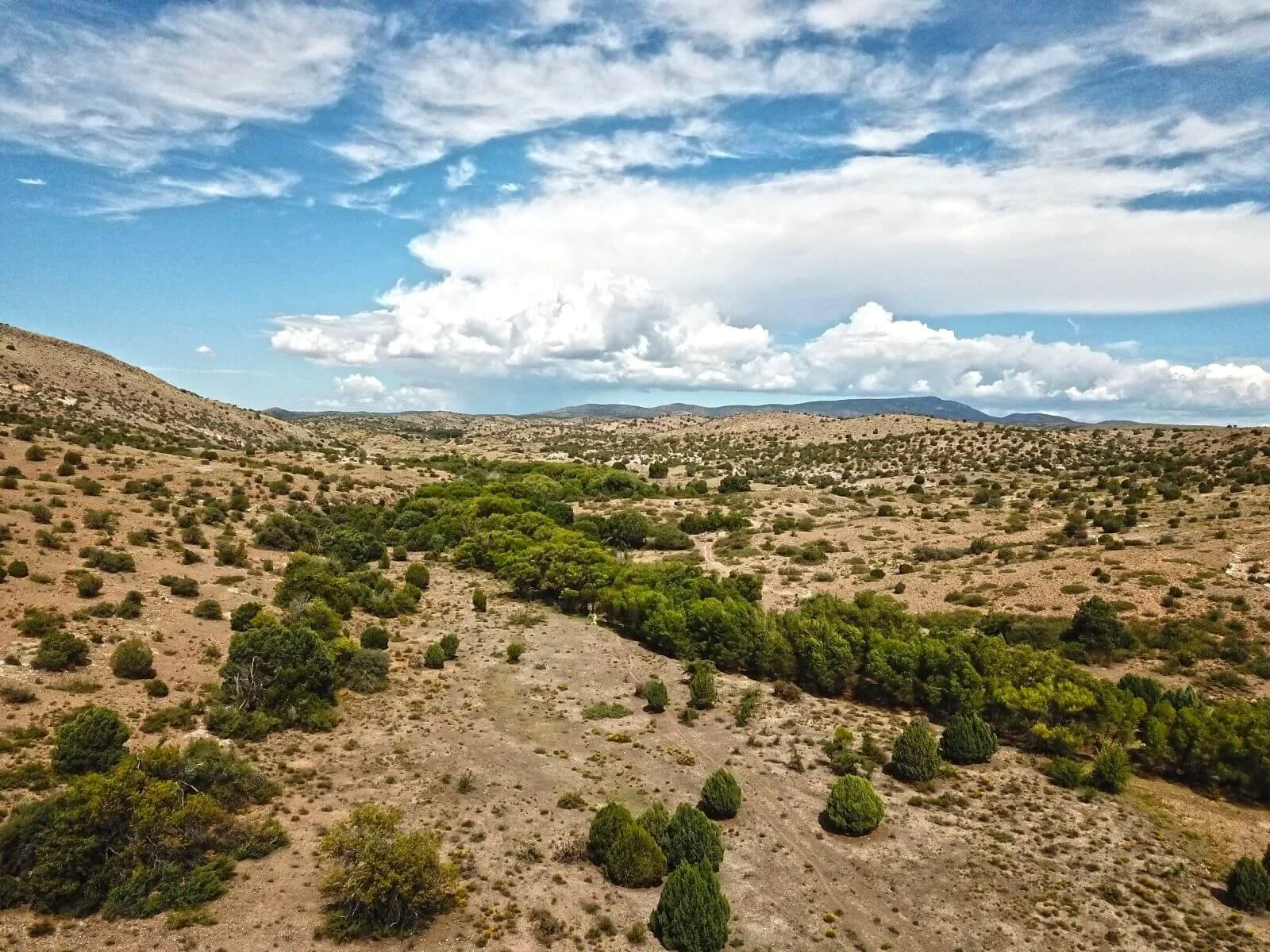 photo of desert and mountains at prevost conservation ranch nm