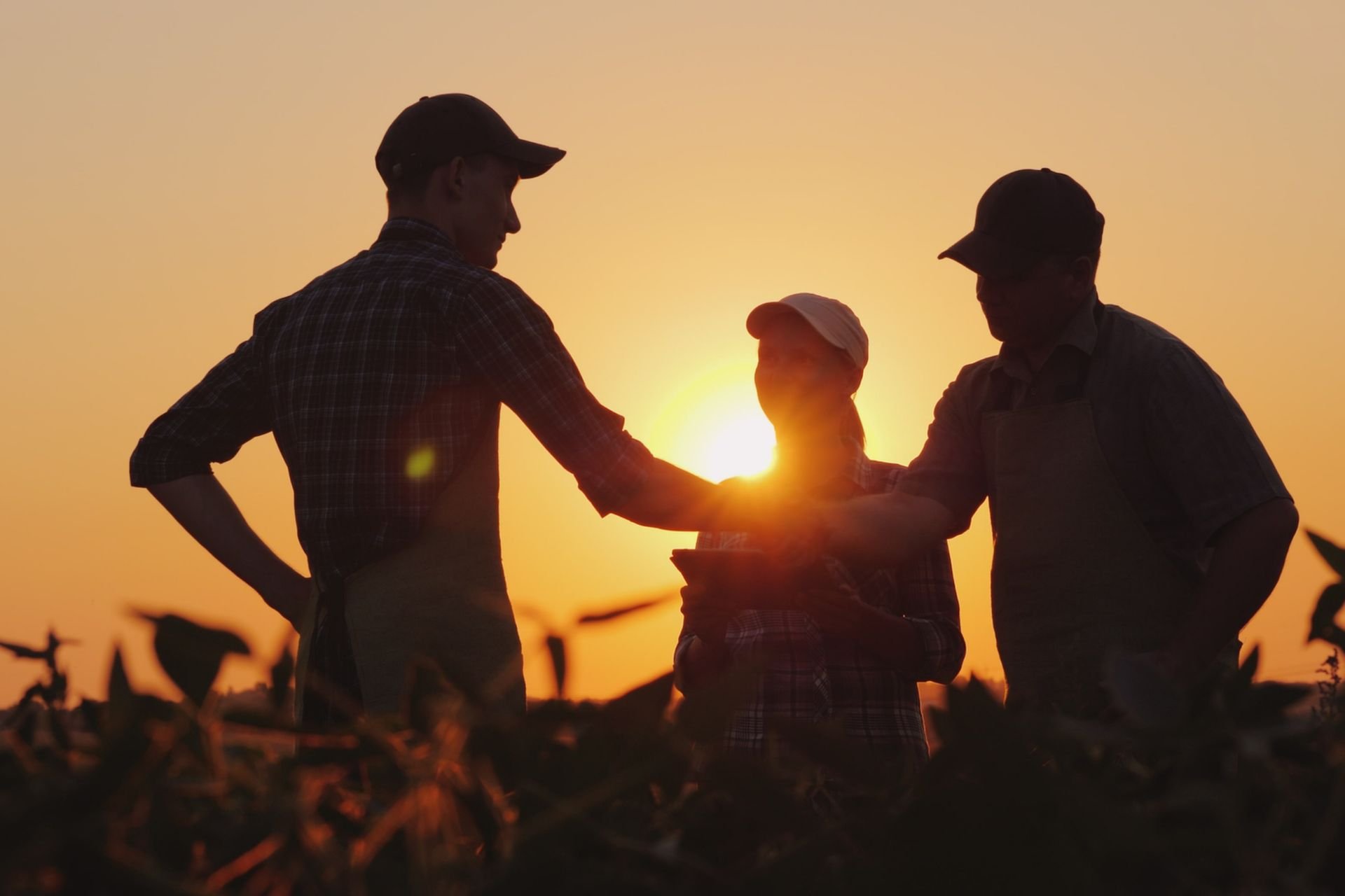 photo of conservation experts with farmer in field