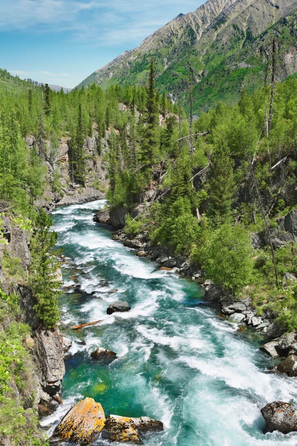 photo of mountain river conservation property