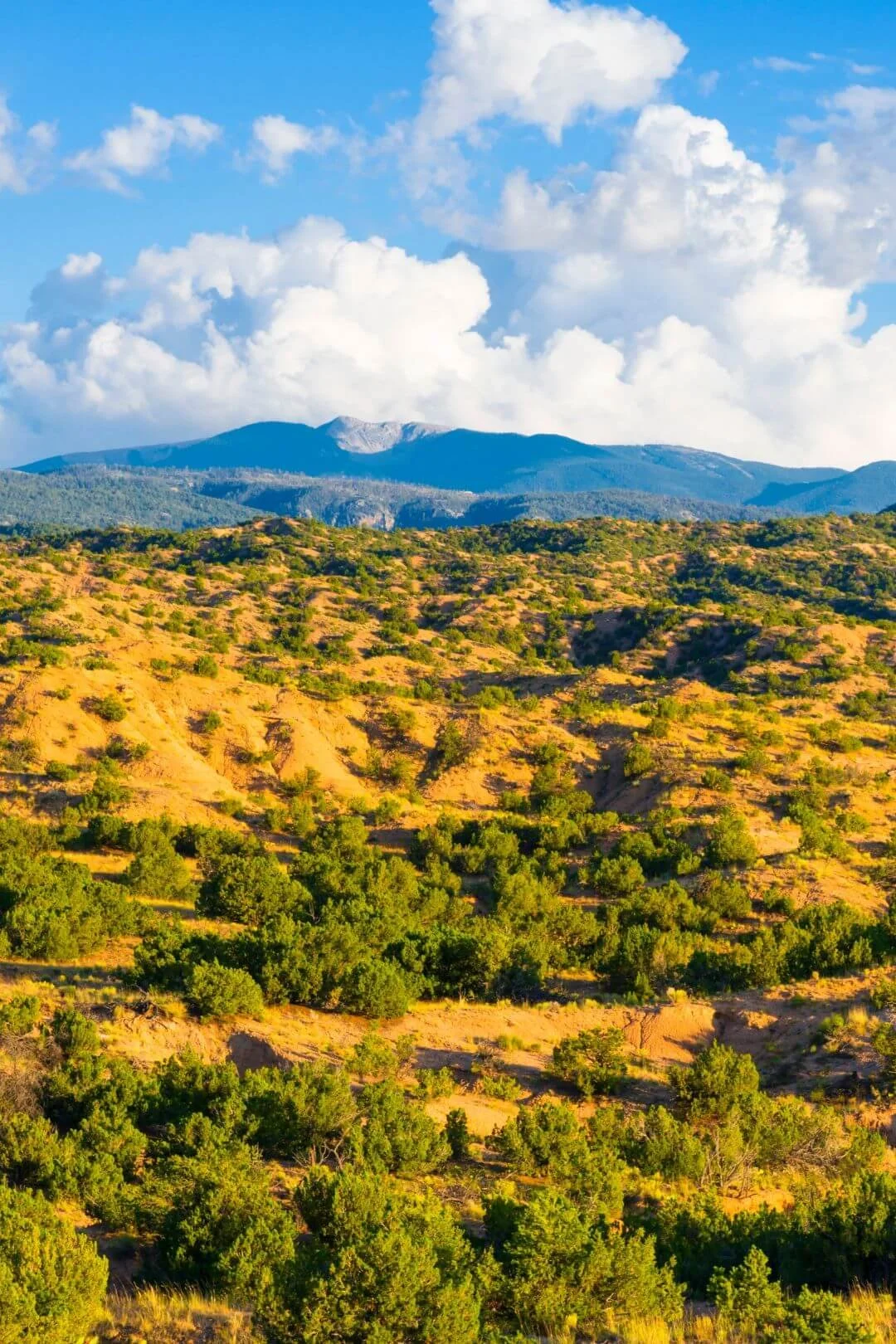 new mexico ranch land conservation property