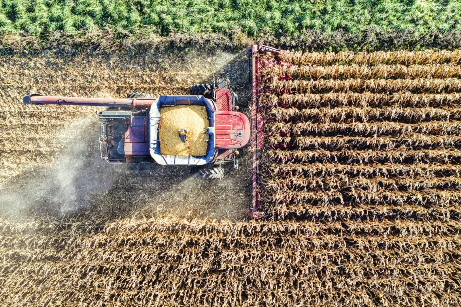 combine in large farm next to conservation land