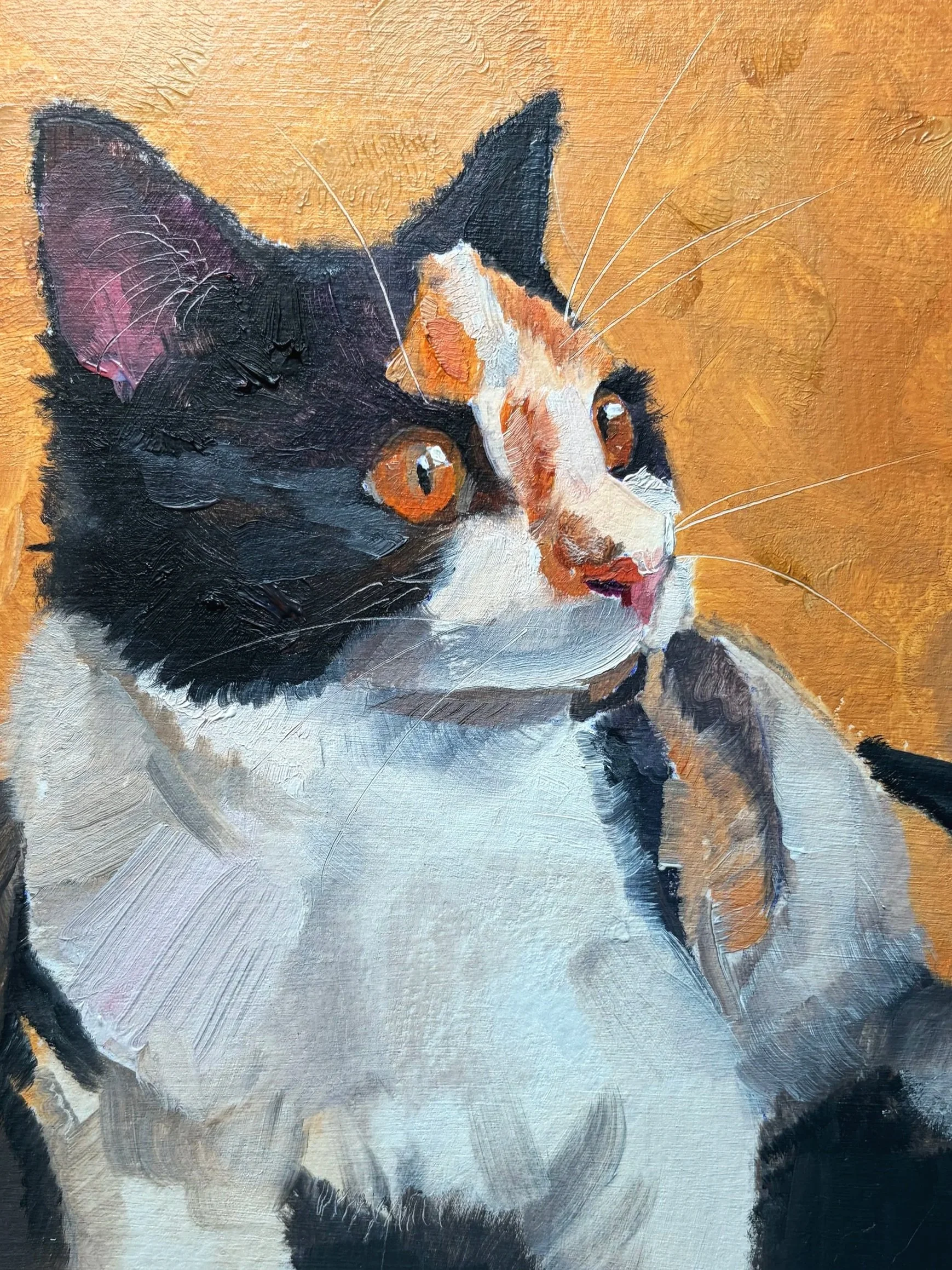 Close-up van een schilderij van een kat met oranje ogen en een bontgekleurd gezicht, zwart en wit vacht, tegen een oranje achtergrond.