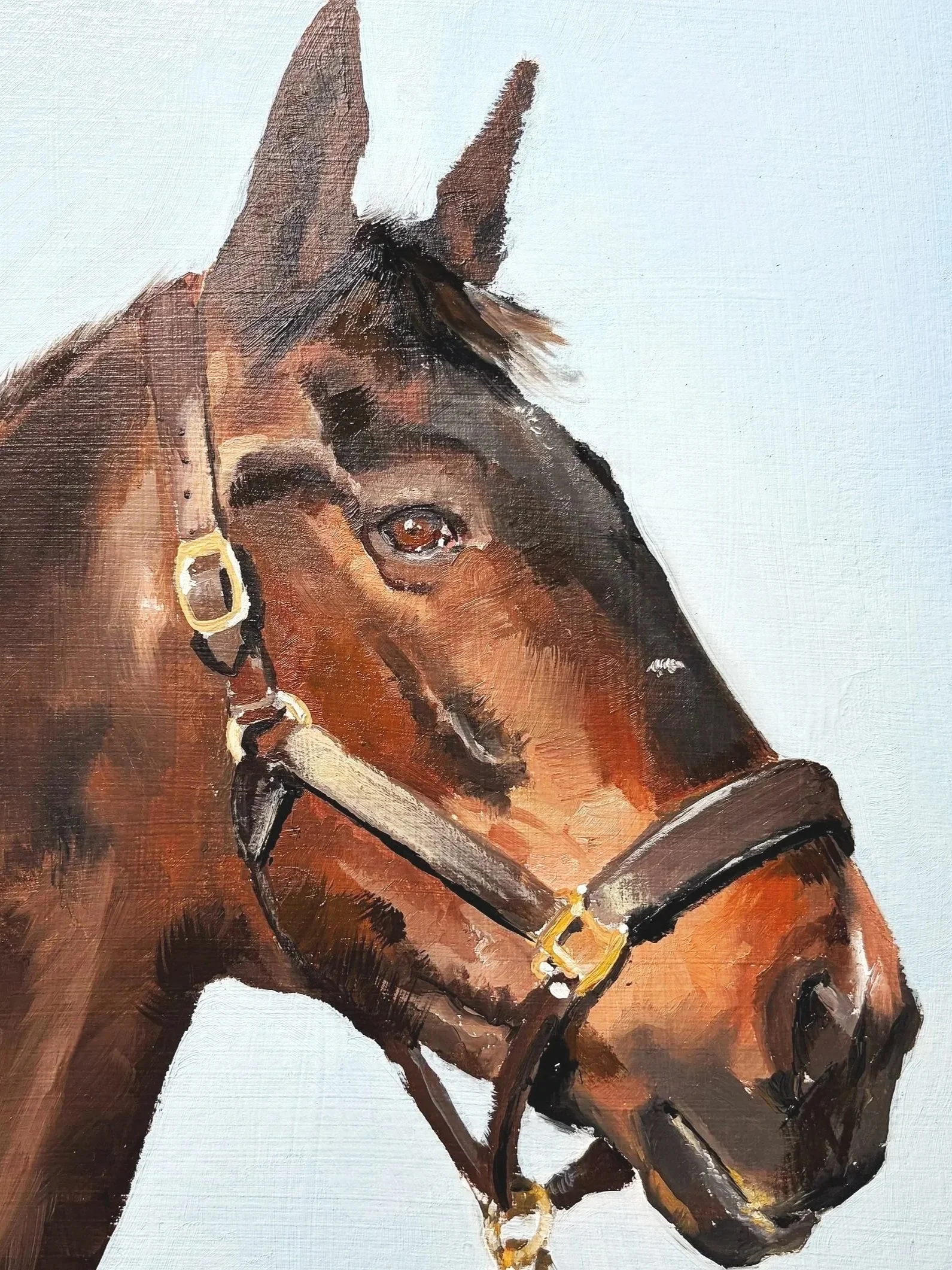 Schilderij van een paardenhoofd met een brownige vacht, oor en oog zichtbaar, en een halster met gouden ringen.