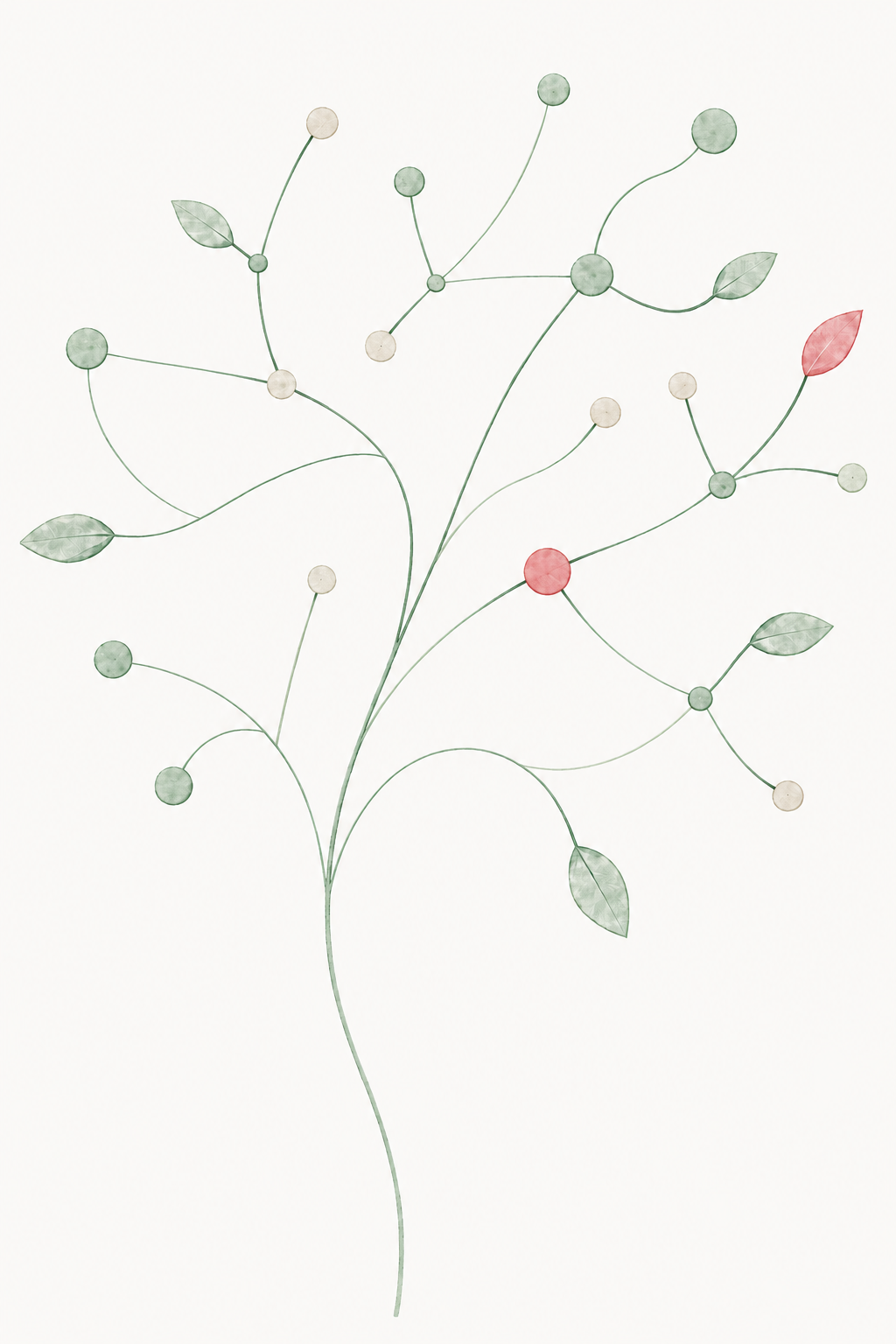 A minimalist watercolor illustration of a plant with green and red leaves and circular flower buds on thin, curved stems against a white background.