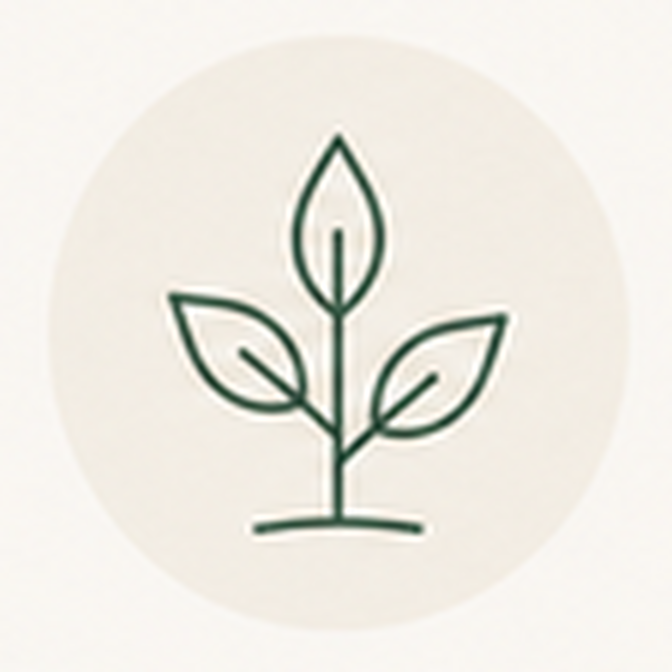 Line drawing of a plant with three leaves on a white background.