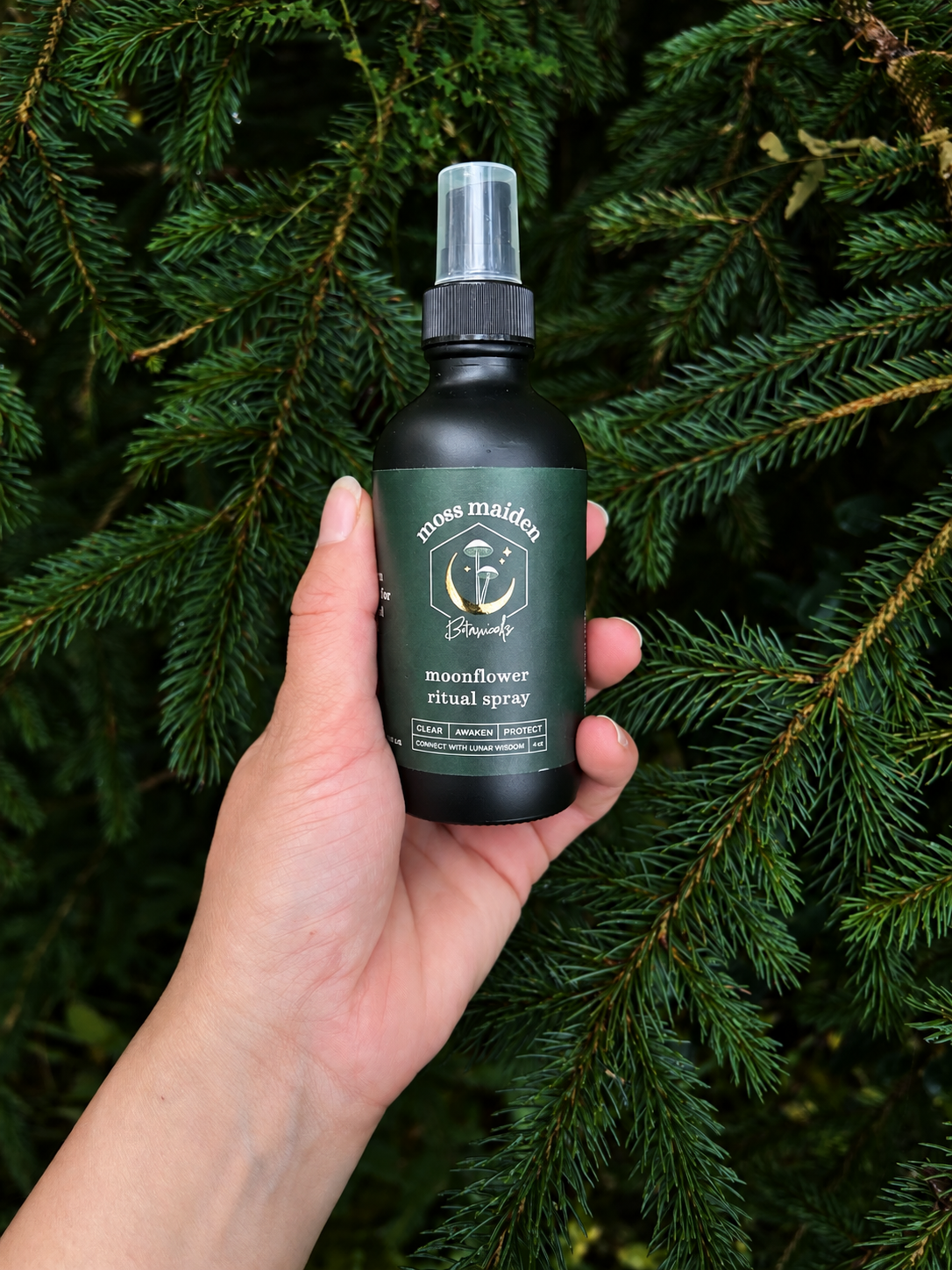 A hand holding a bottle of moss maiden moonflower ritual spray in front of green pine tree branches.