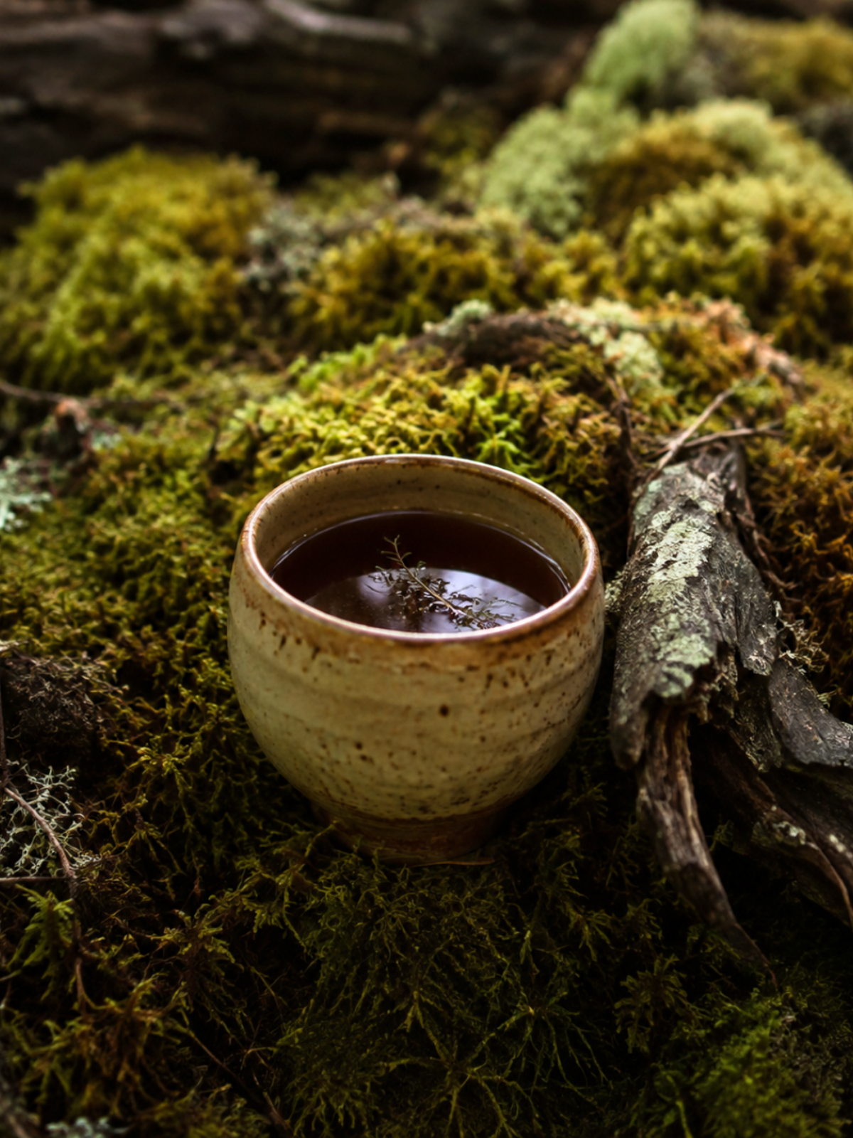 A ceramic cup filled with dark tea sits on mossy forest floor surrounded by fallen leaves and bark.