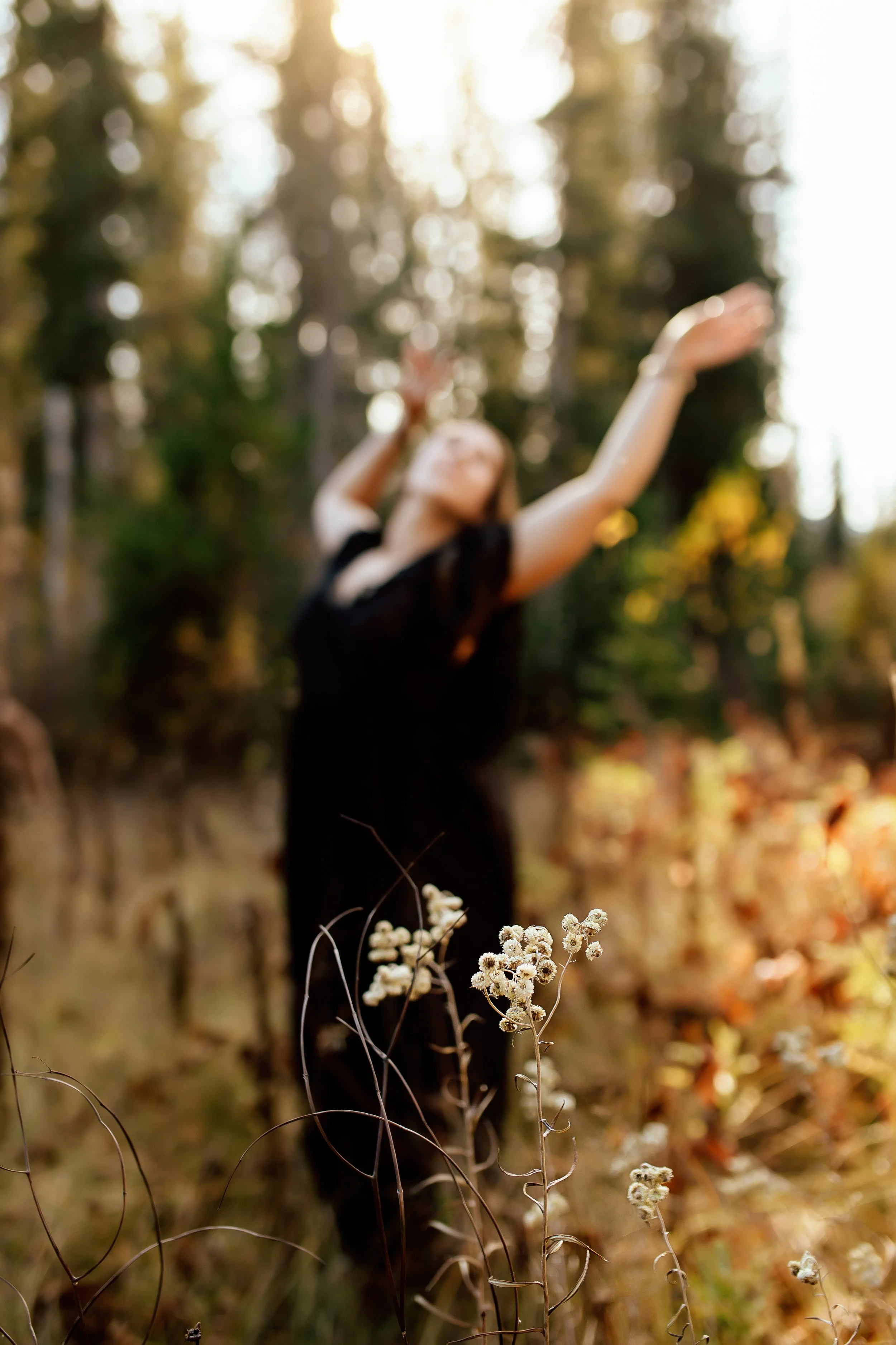 A woman with long hair wearing a black dress dancing in a forest surrounded by trees and fall foliage, with sunlight filtering through the trees.