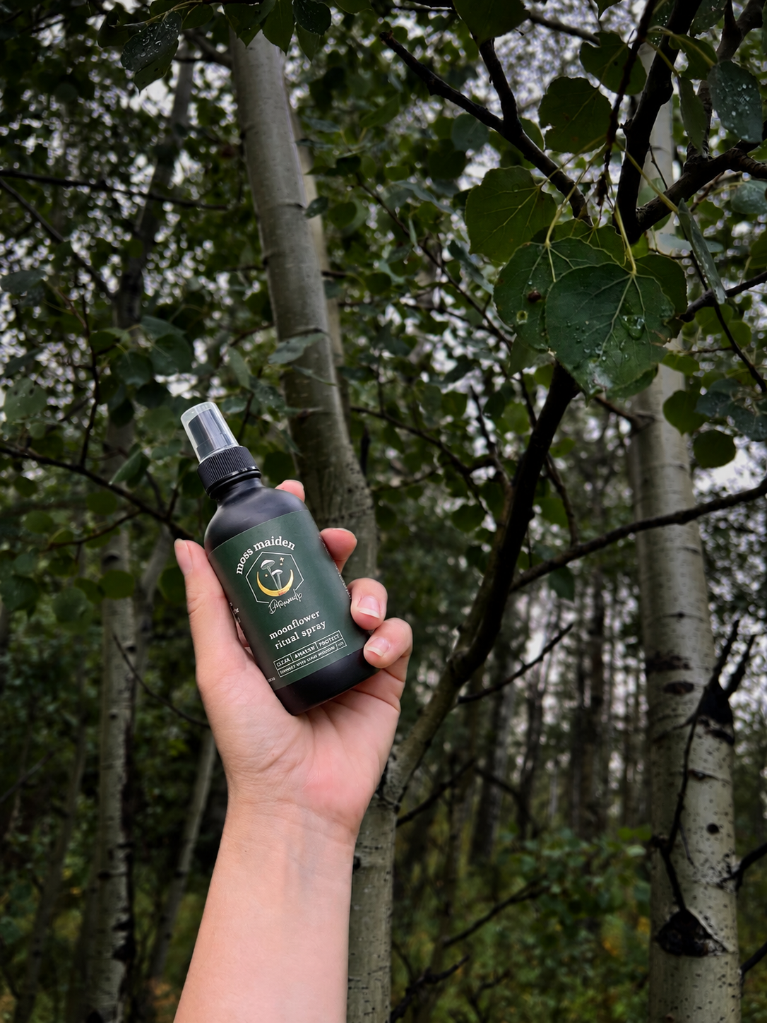 A hand holding a spray bottle labeled 'moss maiden moonflower ritual spray' in front of a cluster of birch trees with green leaves and forest background.