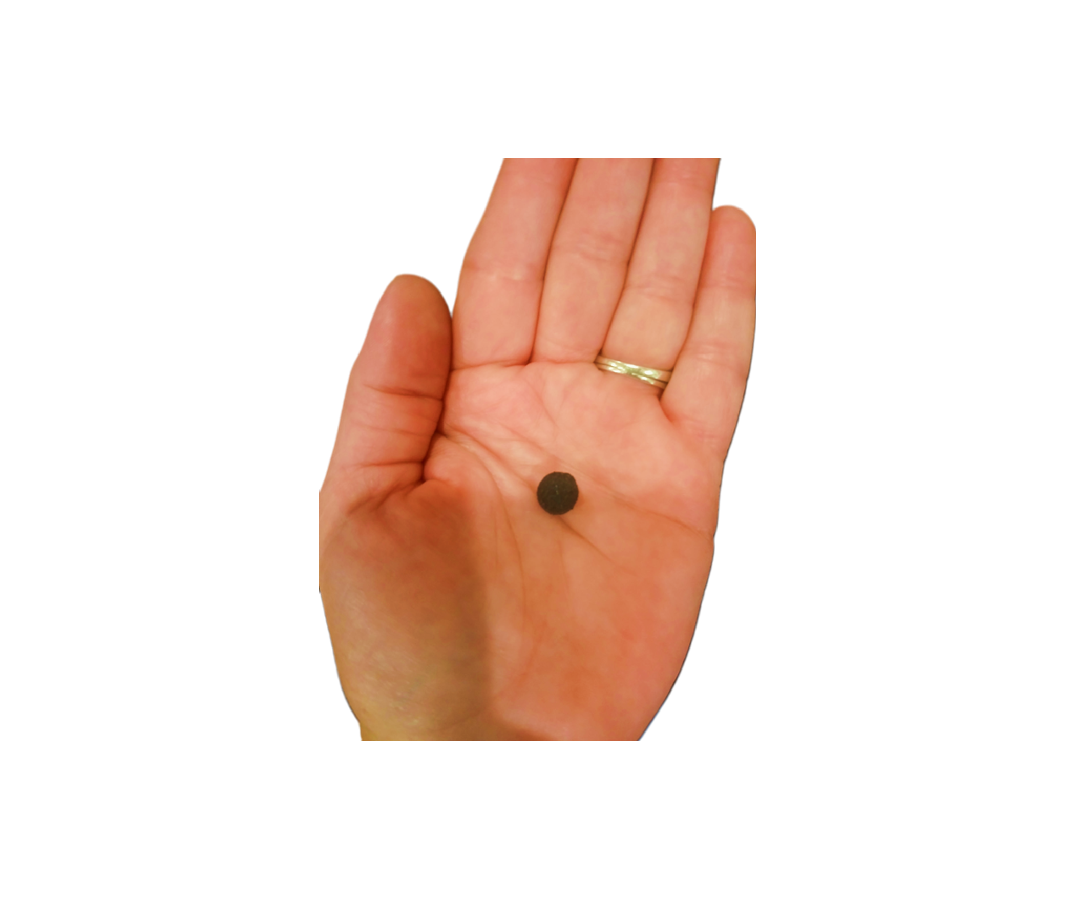 Hand1.jpg.png