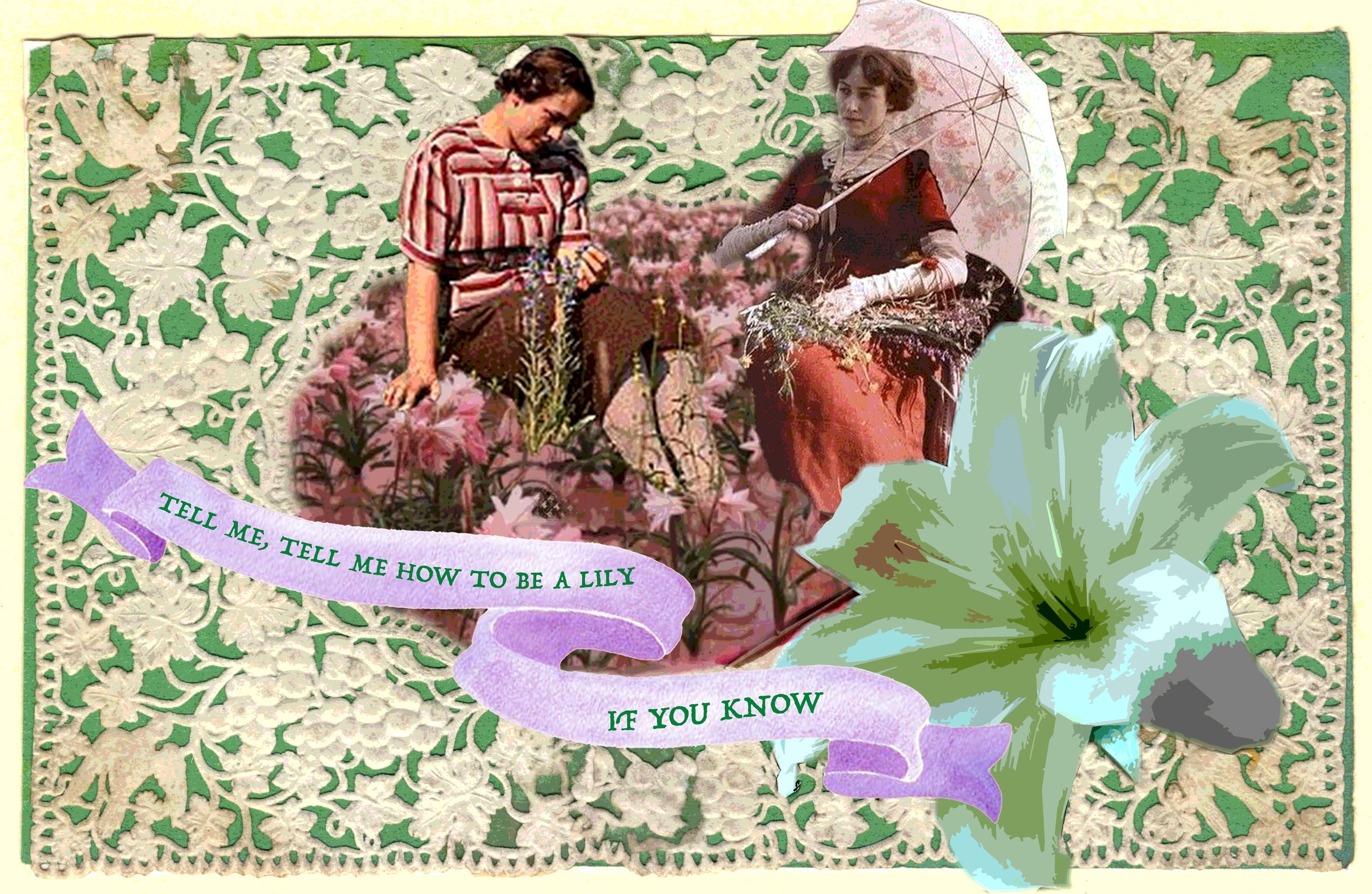 Considered the Lilies copy.jpeg